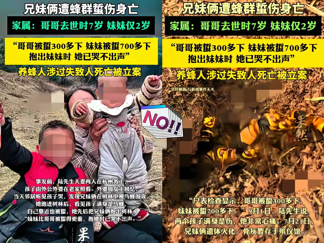 有对兄妹被马蜂蜇伤,已经火化了