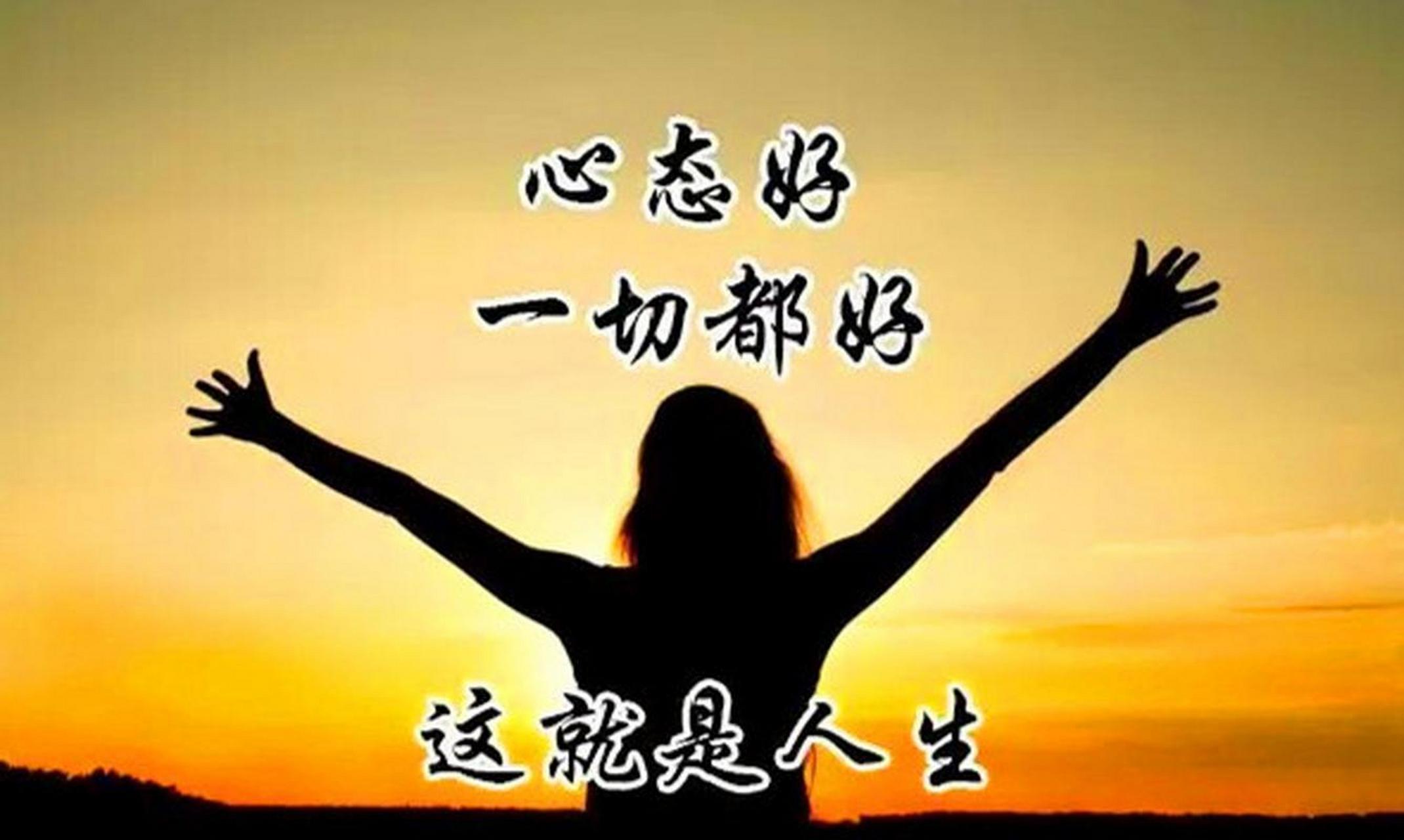在困境与挑战中,绽放出属于自己的光芒与魅力