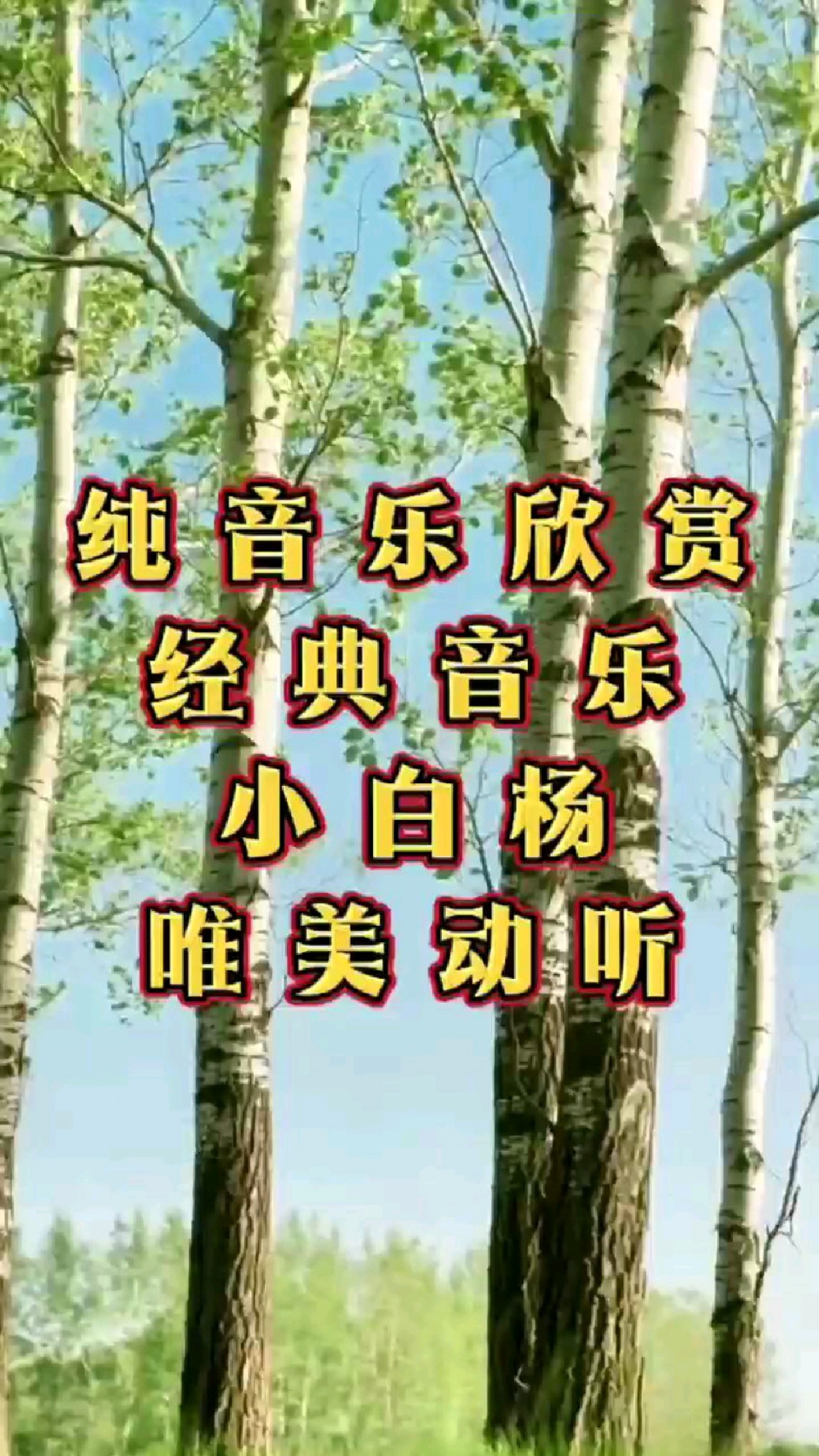 纯音乐欣赏经典音乐小白杨悦耳动听