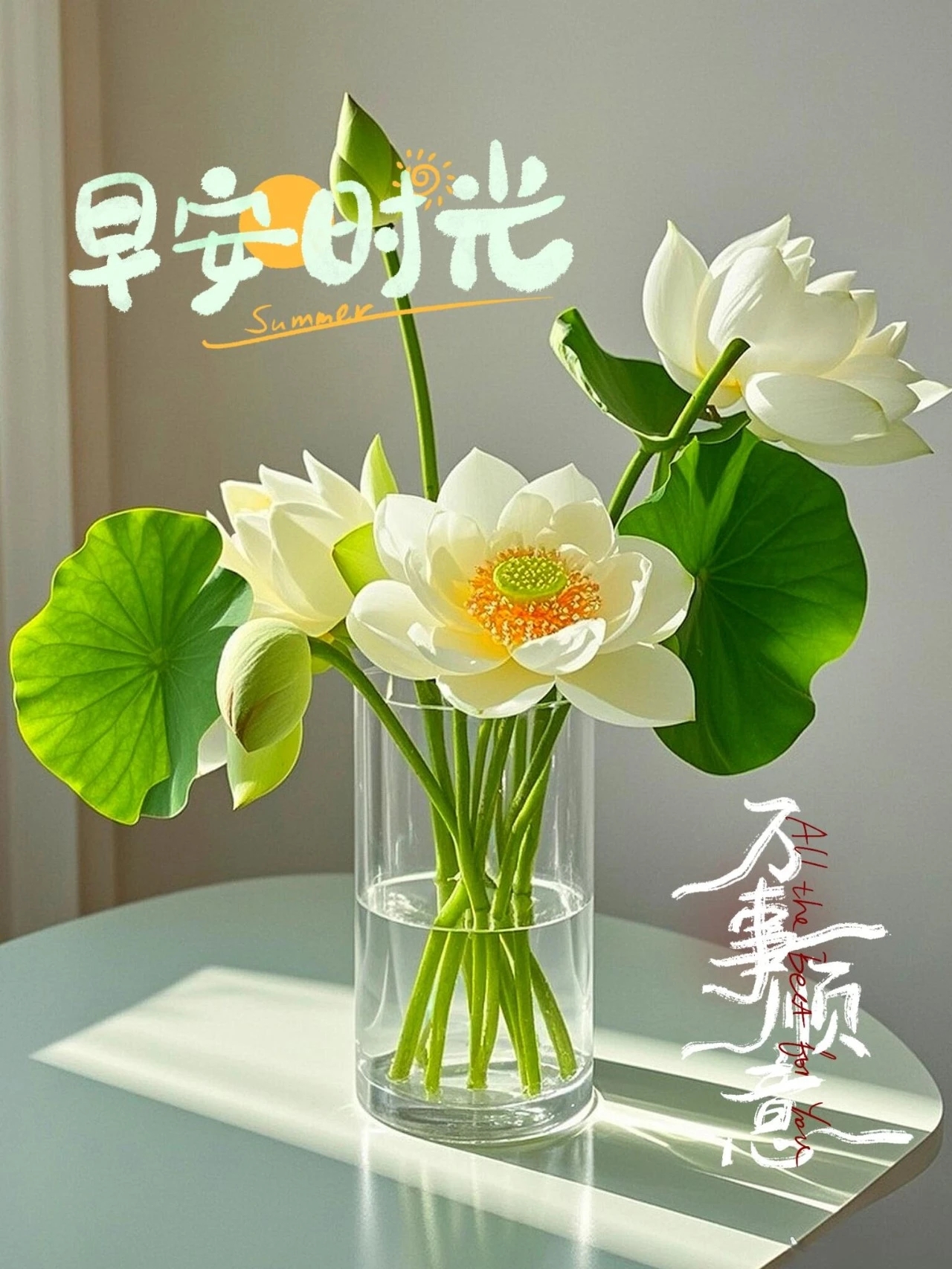 浪漫的鲜花浪漫的你早安家乡的夏日时光