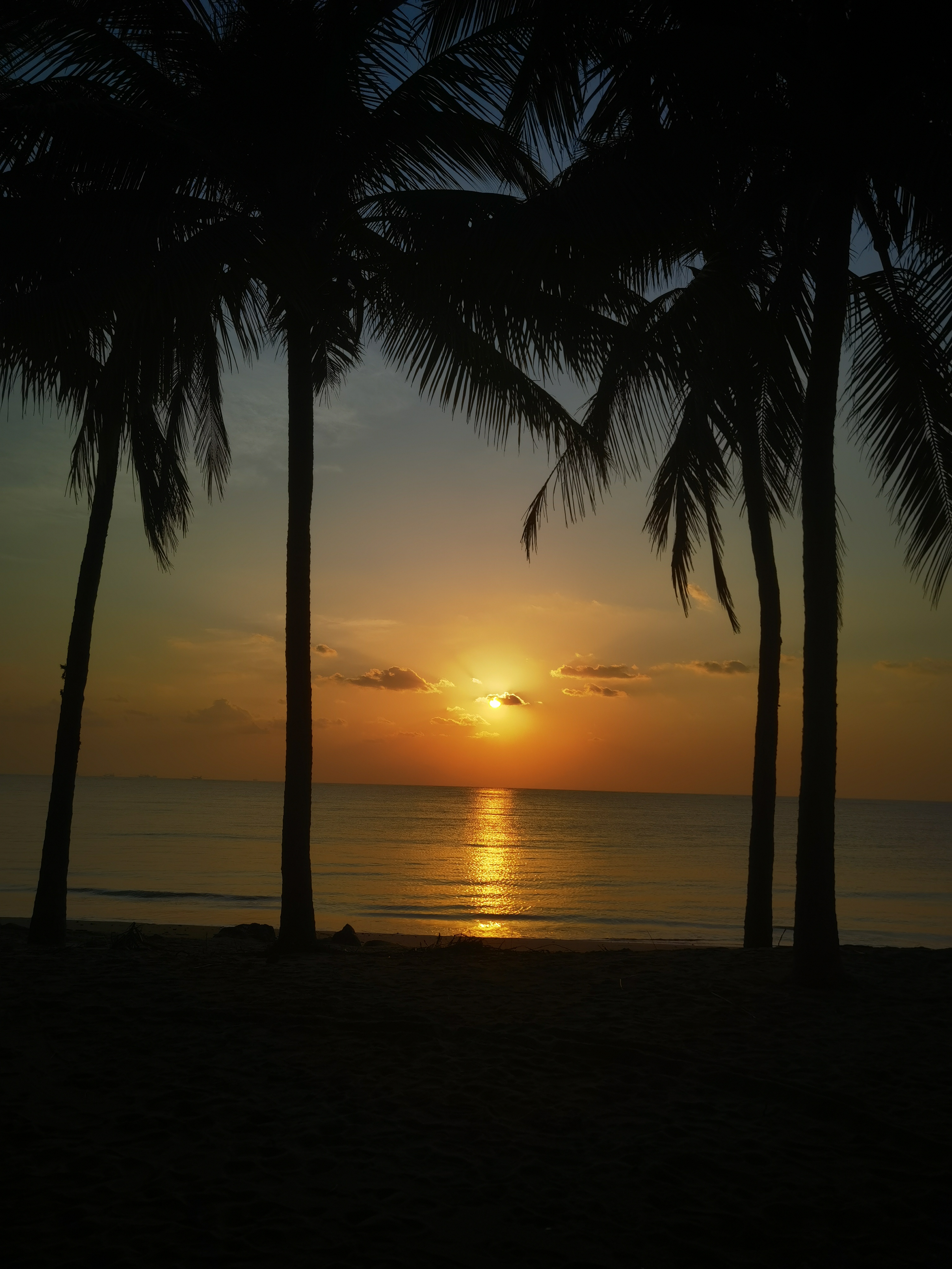 霞光浸染海天,浪尖碎金跃动