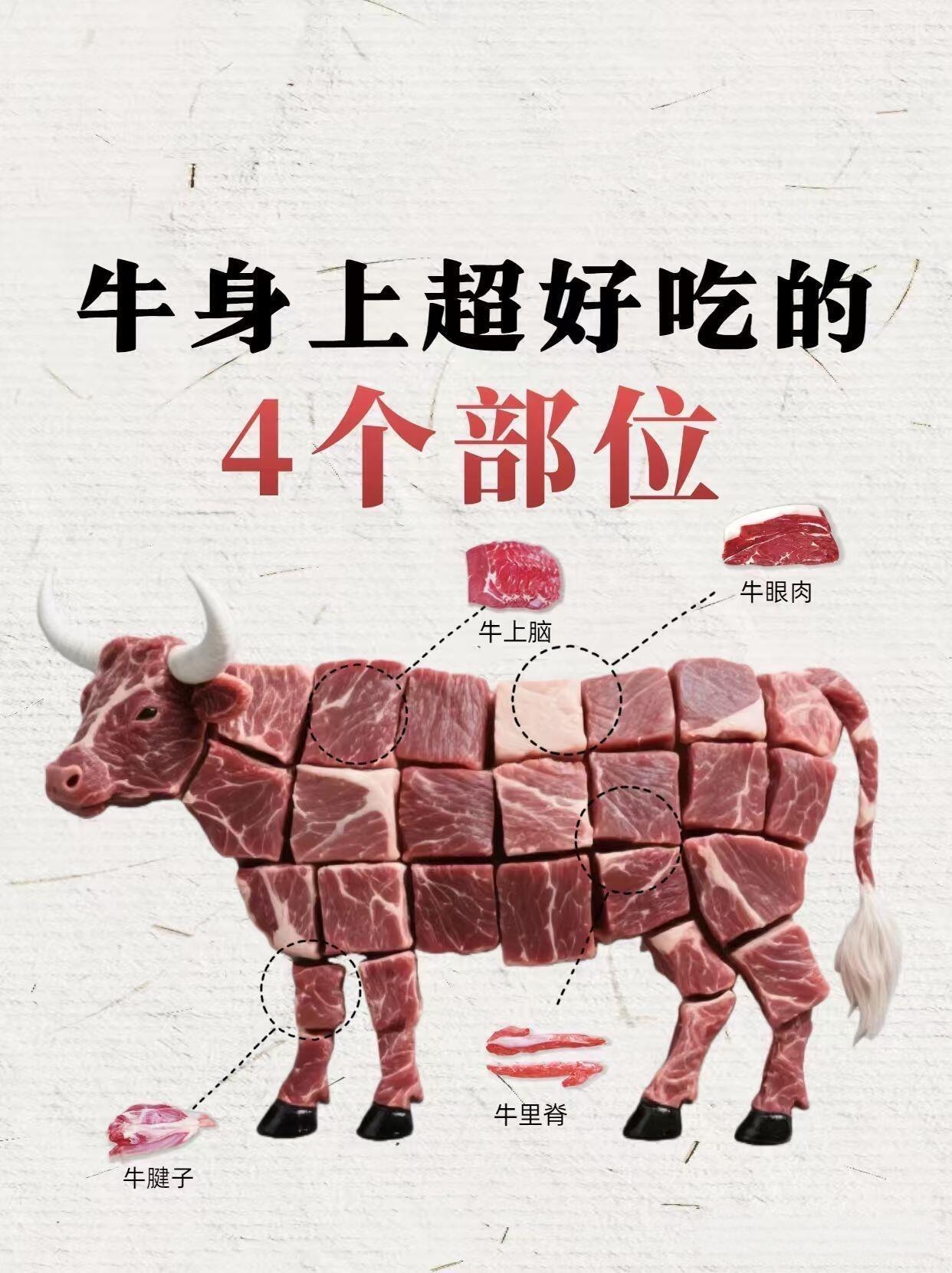 牛身上最好吃的几个部位你了解多少