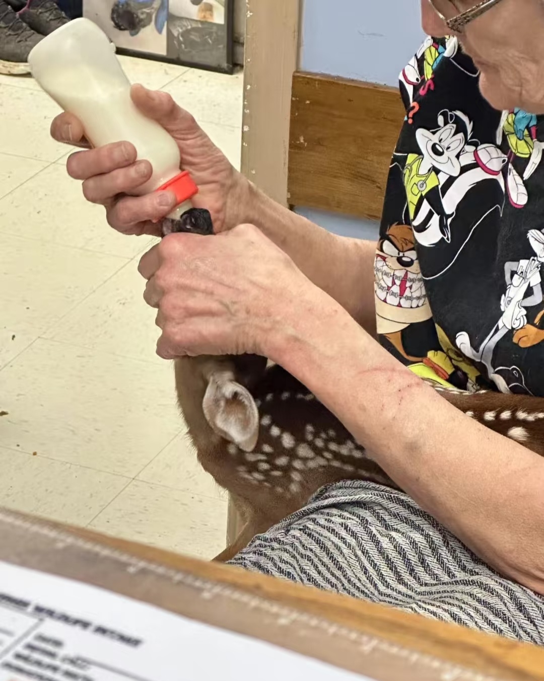 要怎么解释我捡到了一头鹿 坐标温莎,办公室靠着一