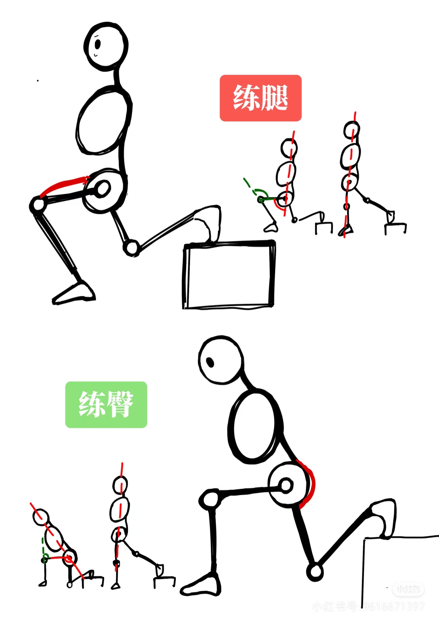 如何做一个标准的保加利亚蹲