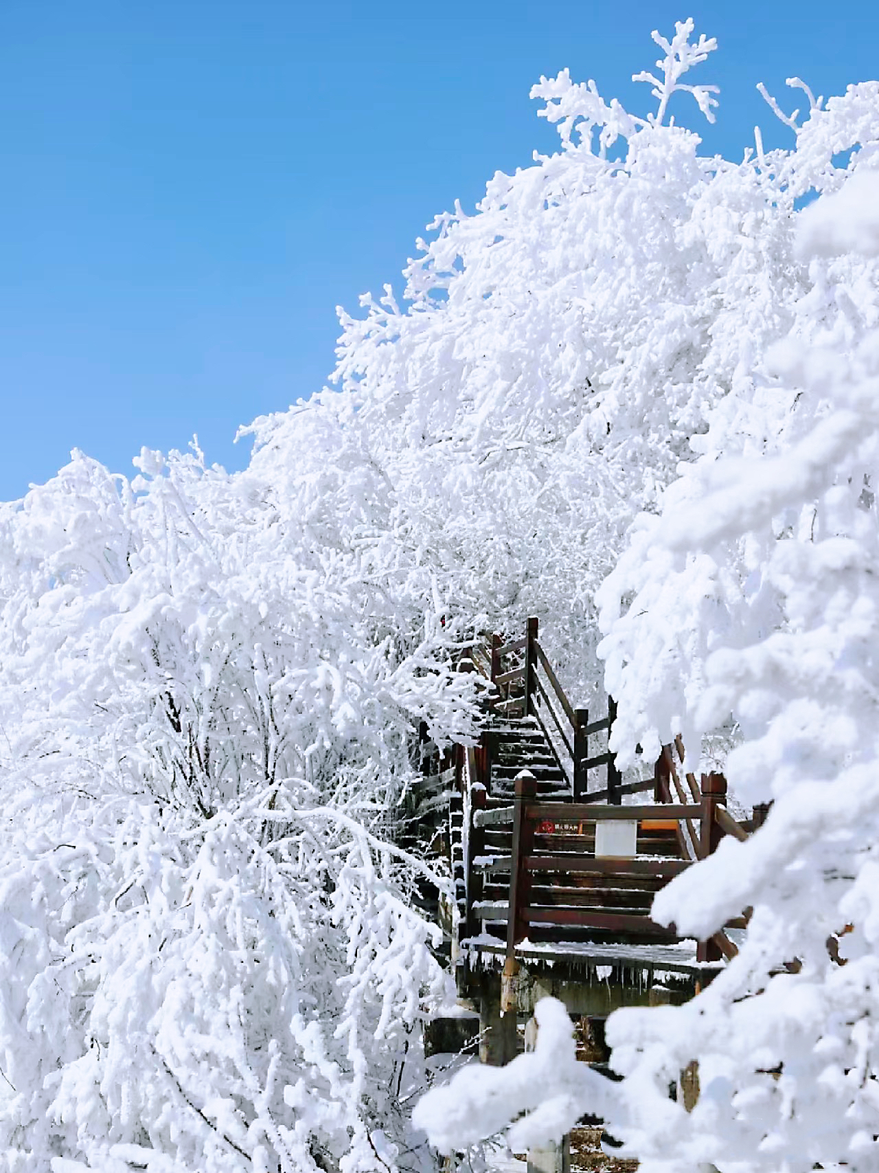 雾凇天然群峰间恍若仙境现眼前 雪场栈道奇峰处处白茫茫一片