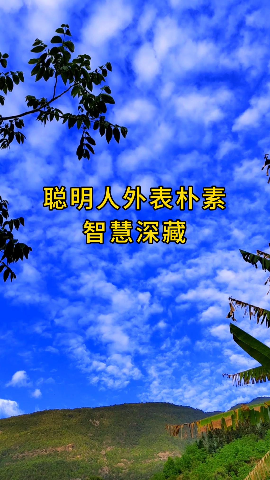 聪明人外表朴素,智慧深藏!你觉得呢?