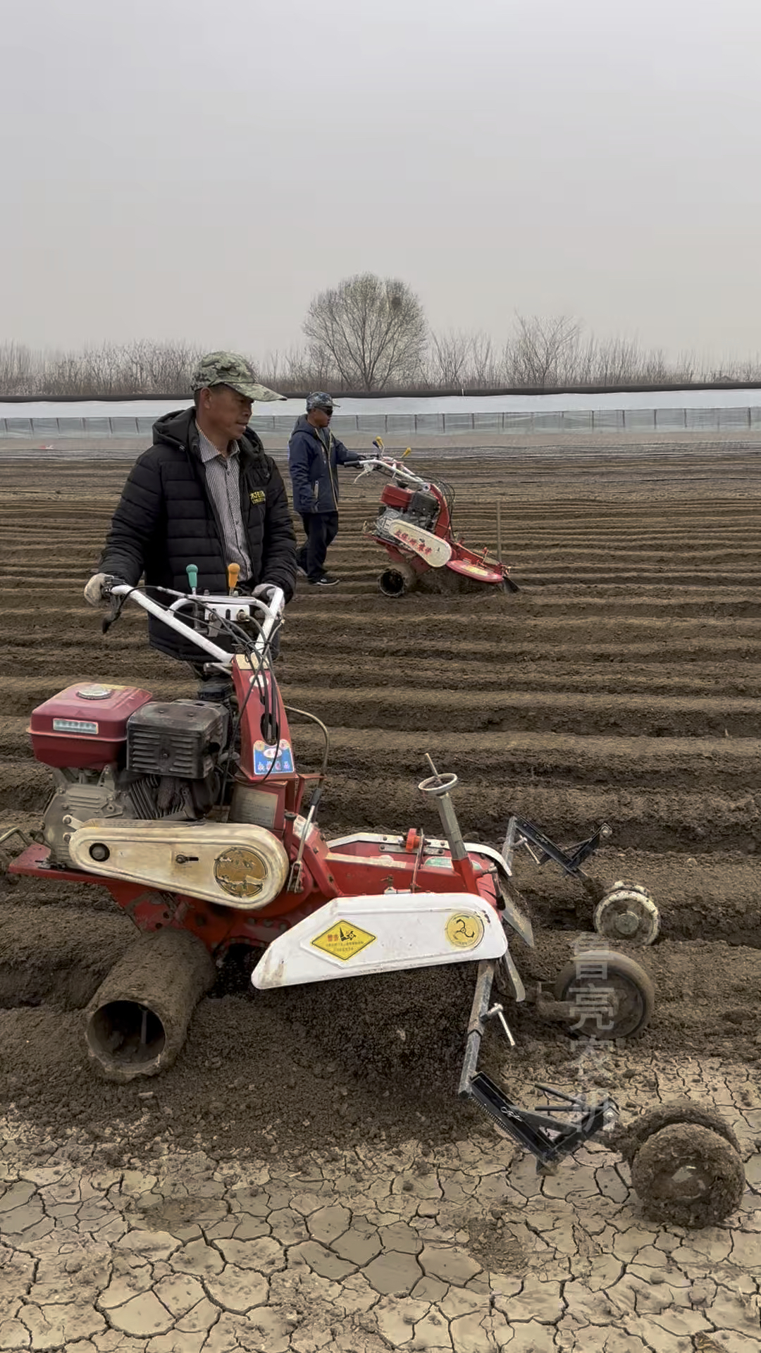 大姜开沟用什么机器,小型手扶开沟培土机一台解决问题