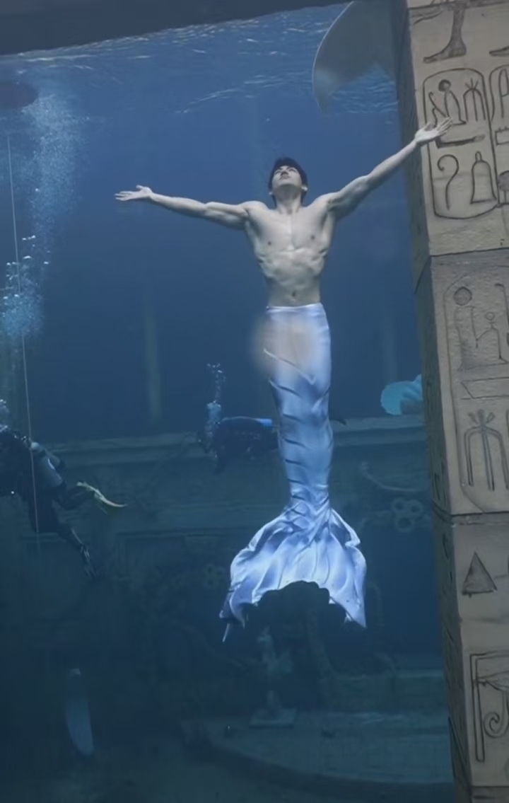 近日,西安一海洋公园宣布将在春节期间推出"男美人鱼"表演