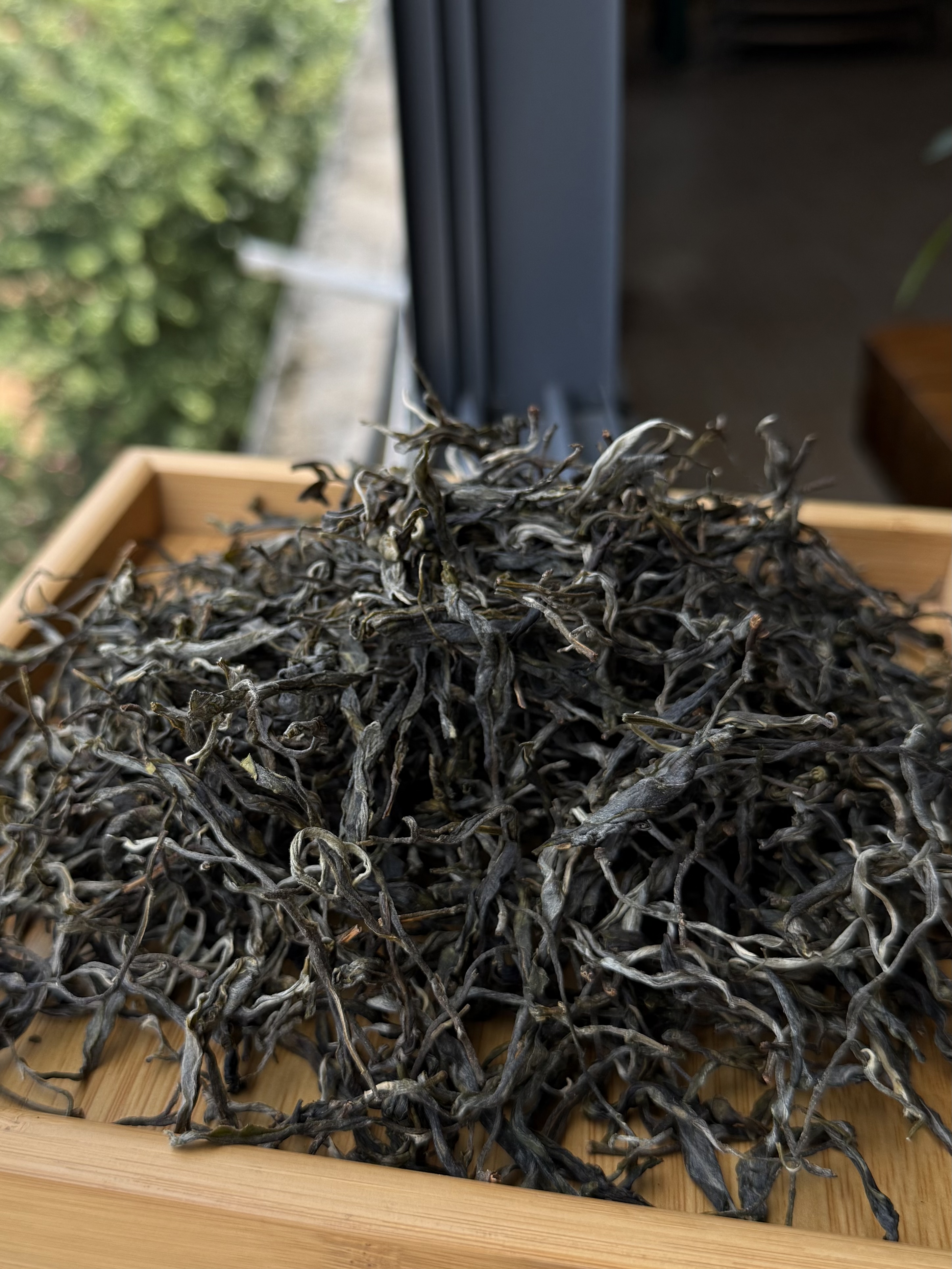 茶叶的名称大全及图片