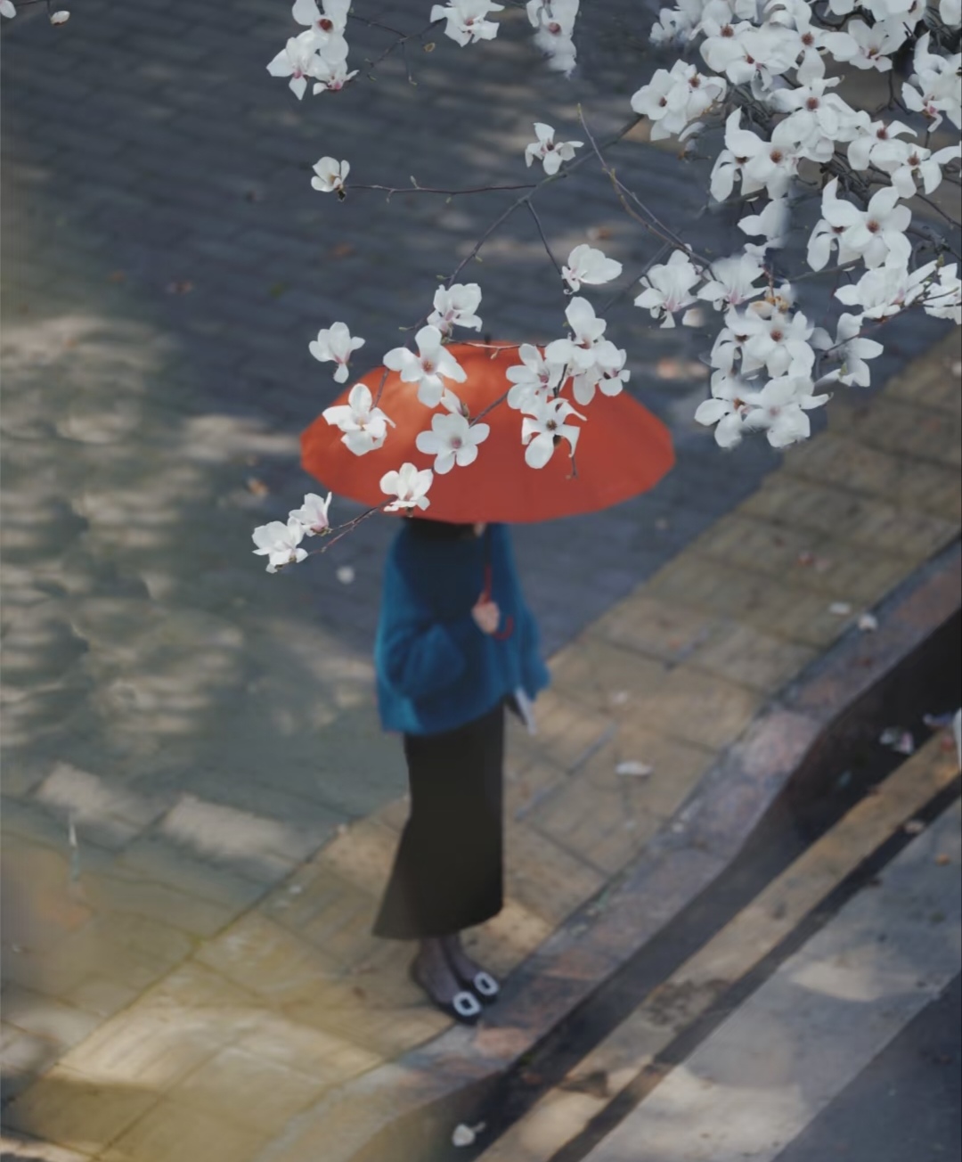 动态连更挑战# 生活其实不需要多么精彩,有个人在身边就够了