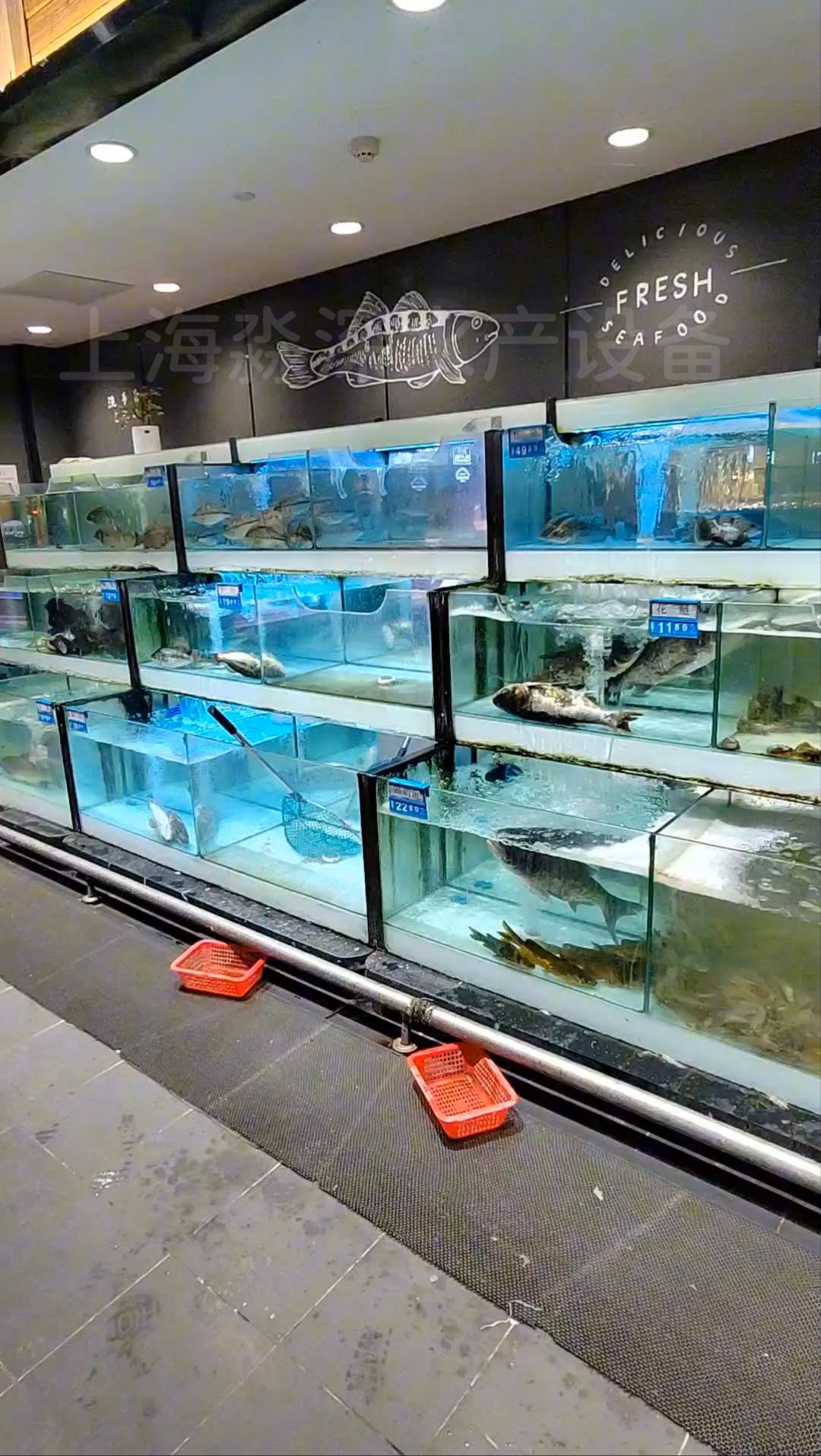如何提高海鲜池里的海鲜存活率第二三点酒店餐厅明档海鲜鱼缸定制