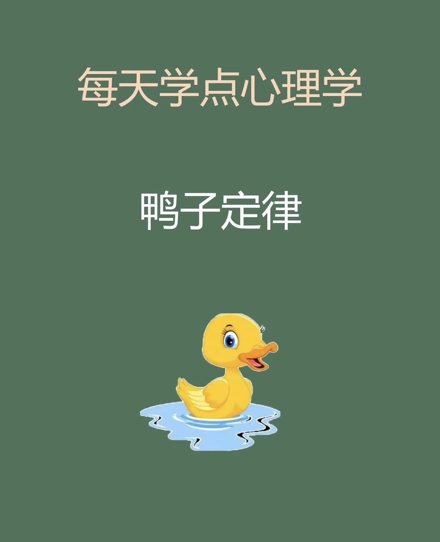 每天一点心理学知识～鸭子定律