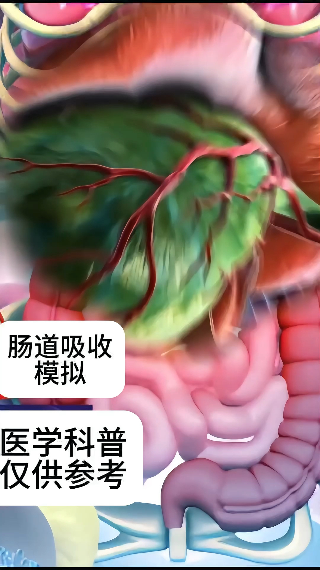 医学动画=医学动画演示