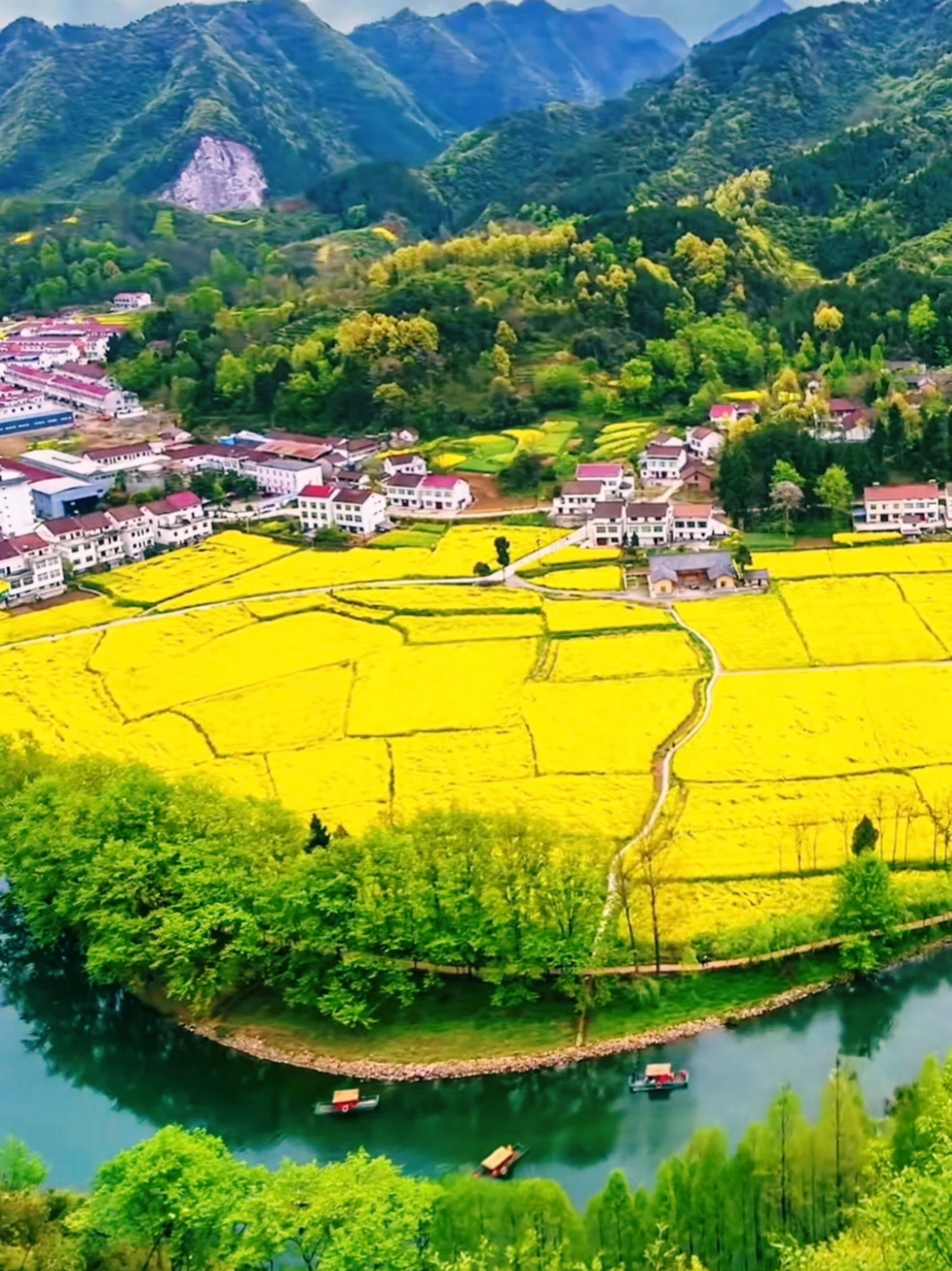 与汉中美景图片春天油菜花美景图最美汉中图片汉阴油菜花节陕南西北小