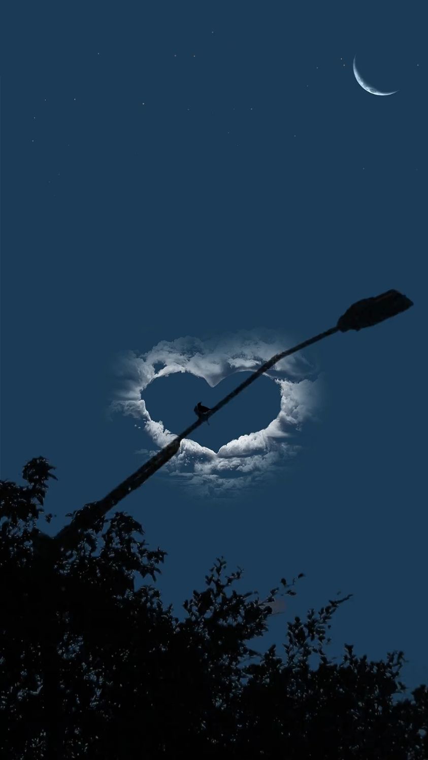 流星划过夜晚的天空,也是否像你的心一样冰冷而又温暖.#夜晚