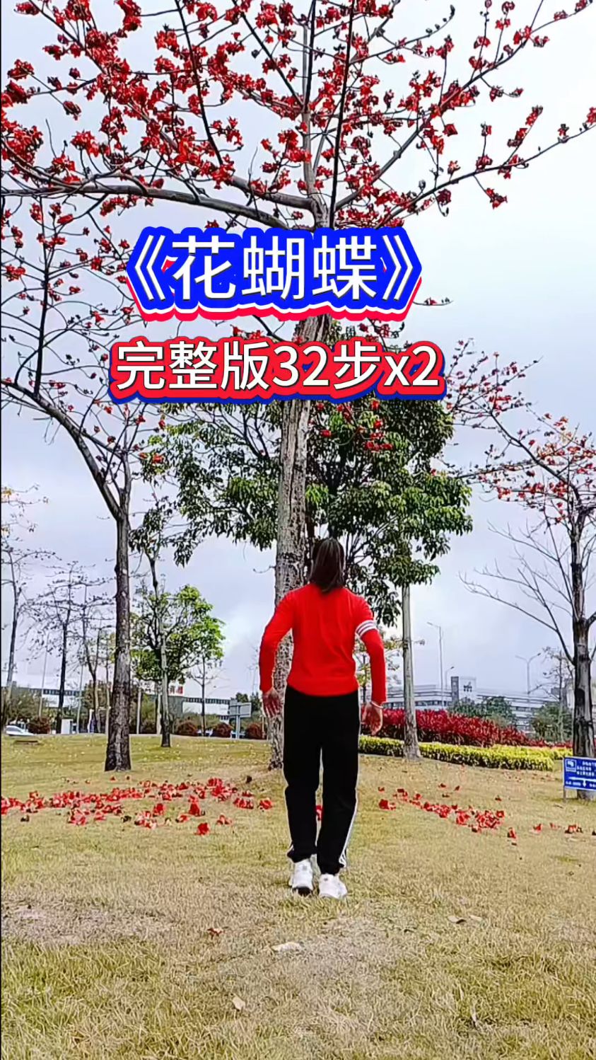 广场舞《花蝴蝶》背面演示简单易学32步