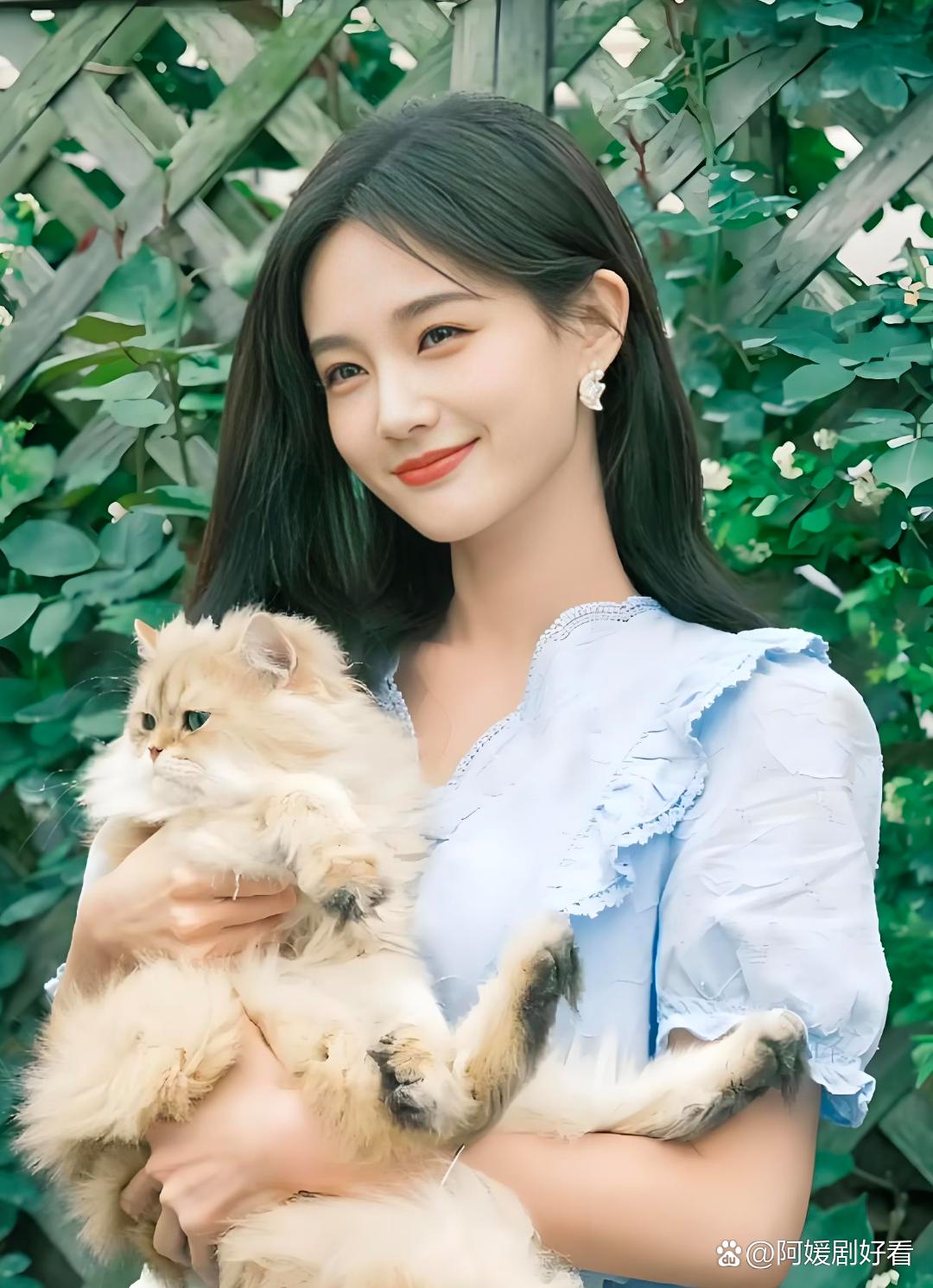 爱奇艺会员节明星阵容:刘诗诗,邓为,白鹿,王星越,李一桐,陈哲远,许凯