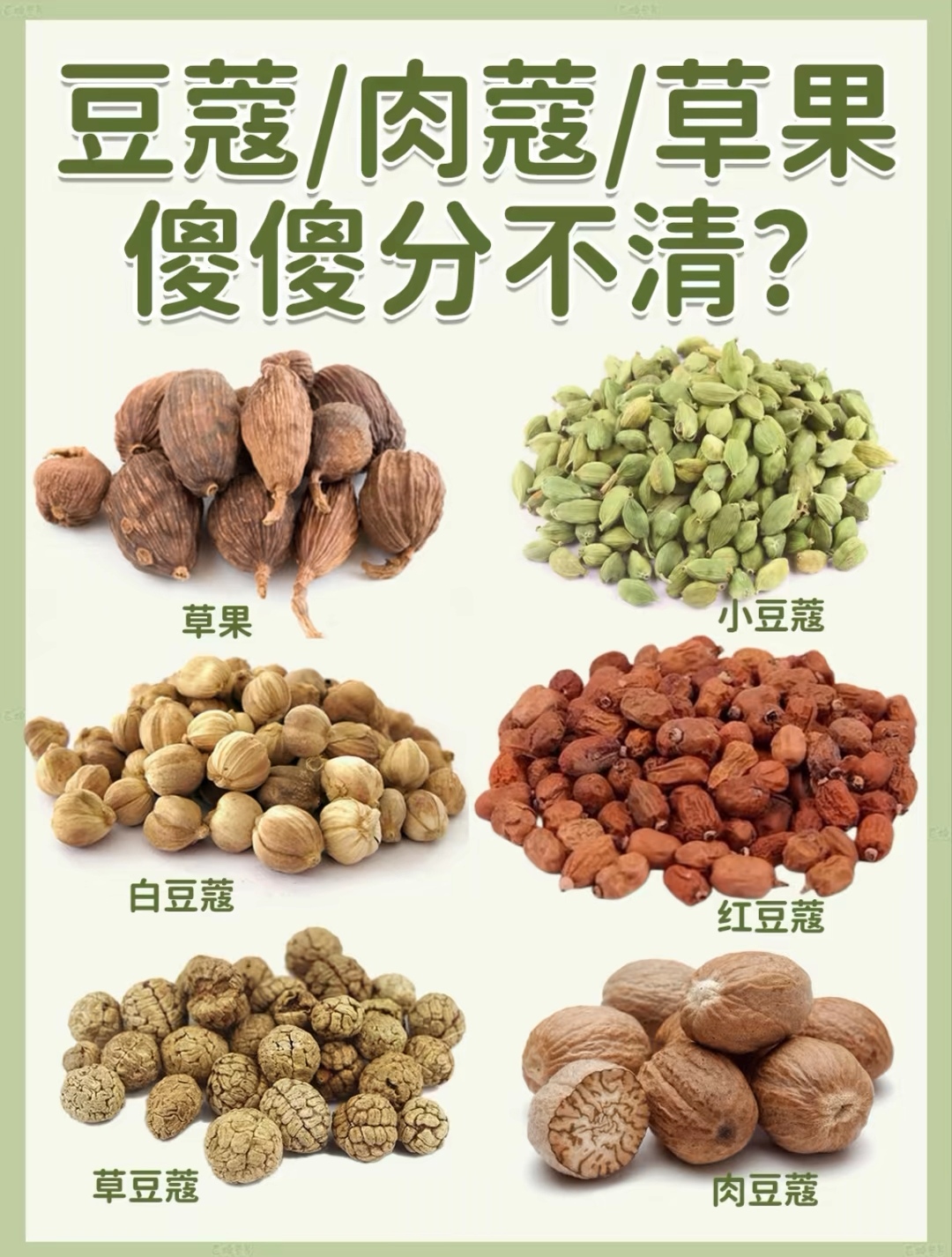五类豆蔻与草果的妙用