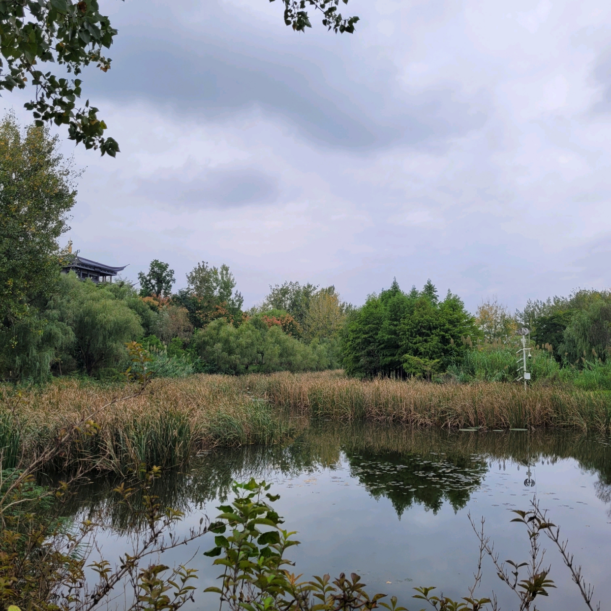 游览淮安古淮河生态湿地公园,了解黄河改道历史
