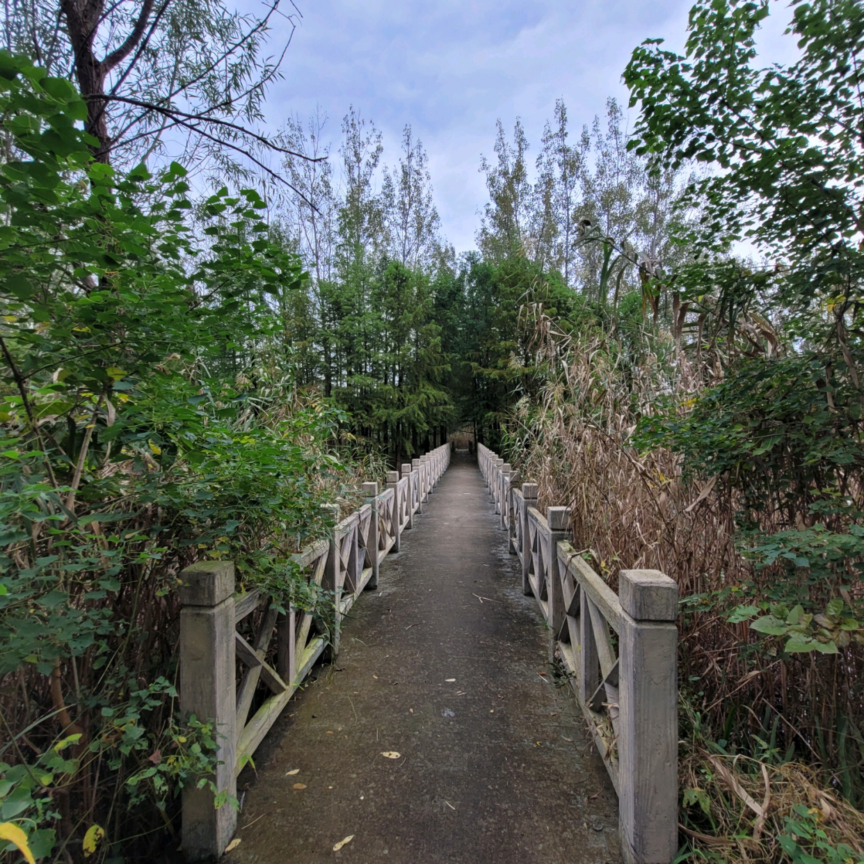 游览淮安古淮河生态湿地公园,了解黄河改道历史