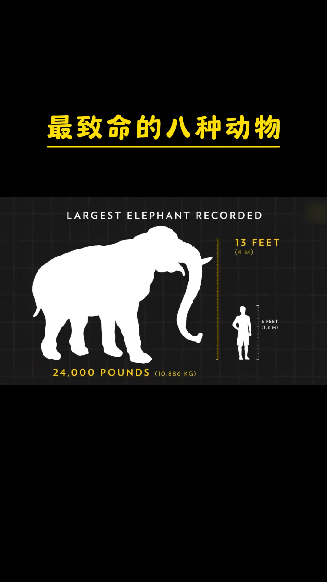 危在旦夕代表什么动物