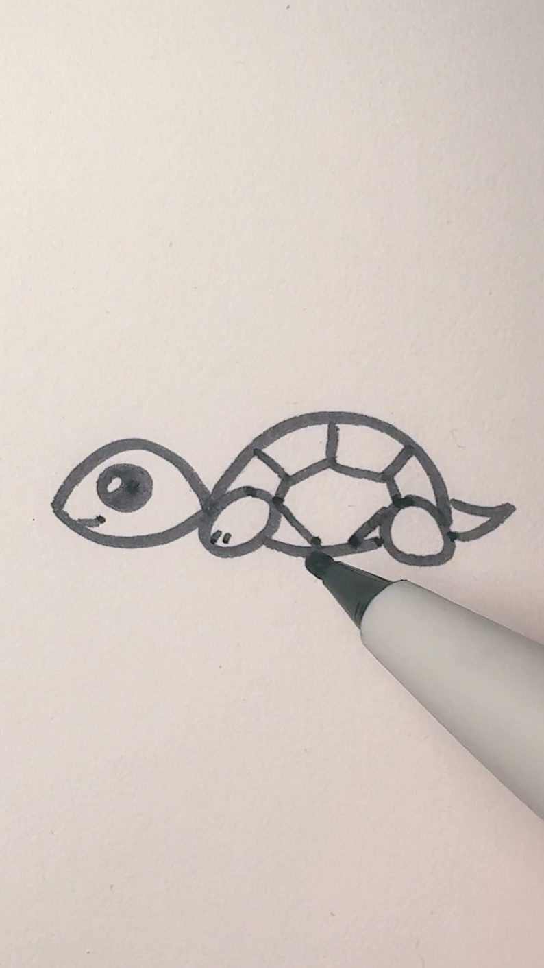 教孩子数字3画个简笔画小乌龟