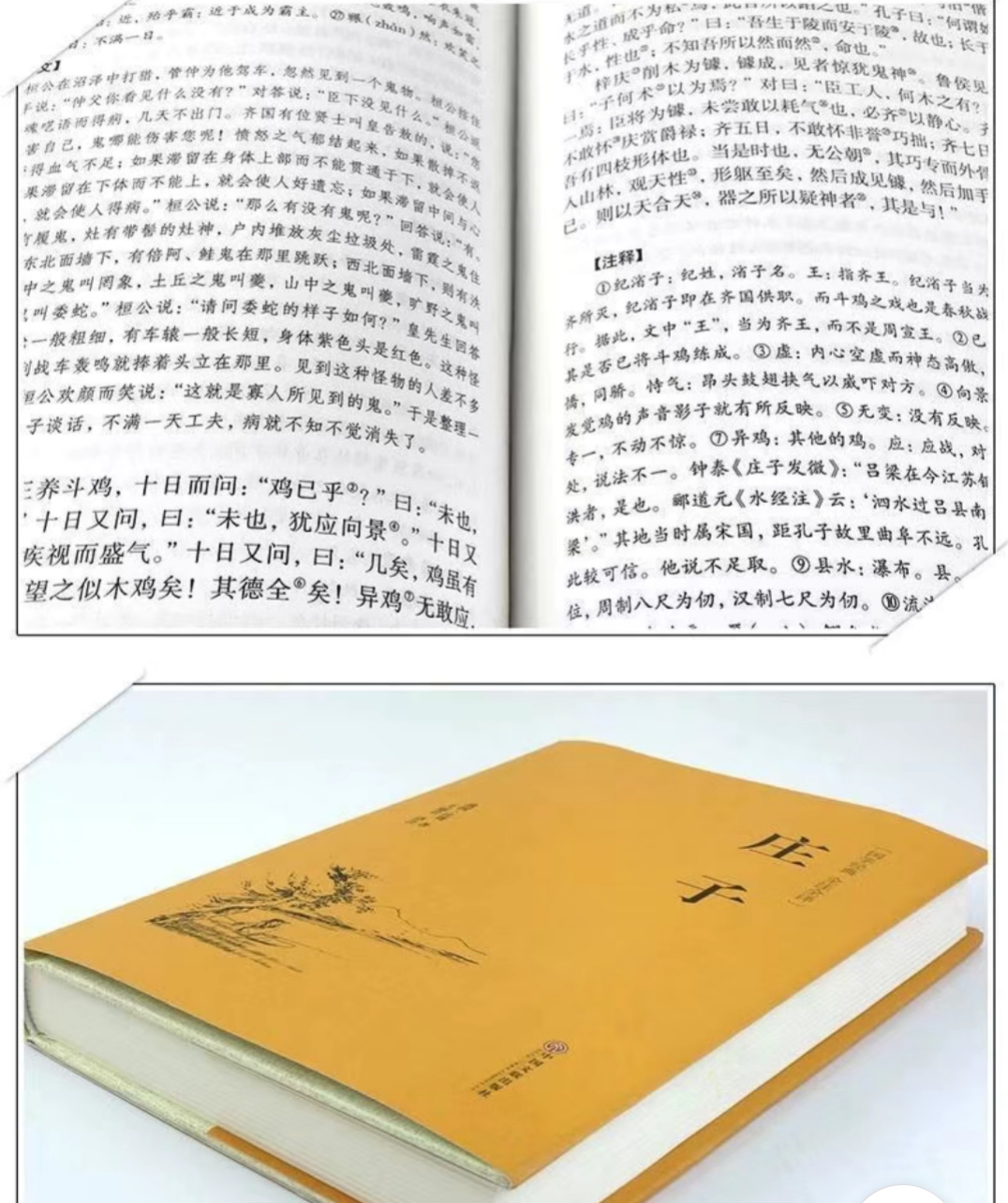 读《养生主》感知庄子的清醒与自在