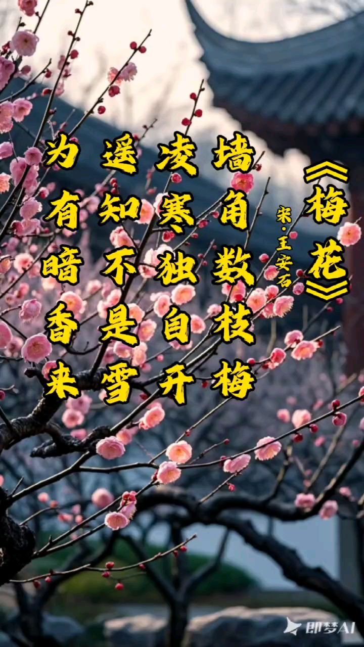 《梅花》宋 王安石