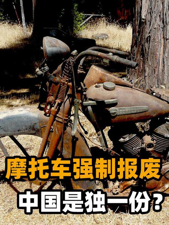 图片来自网络