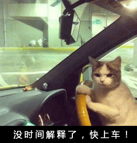 女生永远要记住:先上车,再调整姿势,蓄势待发