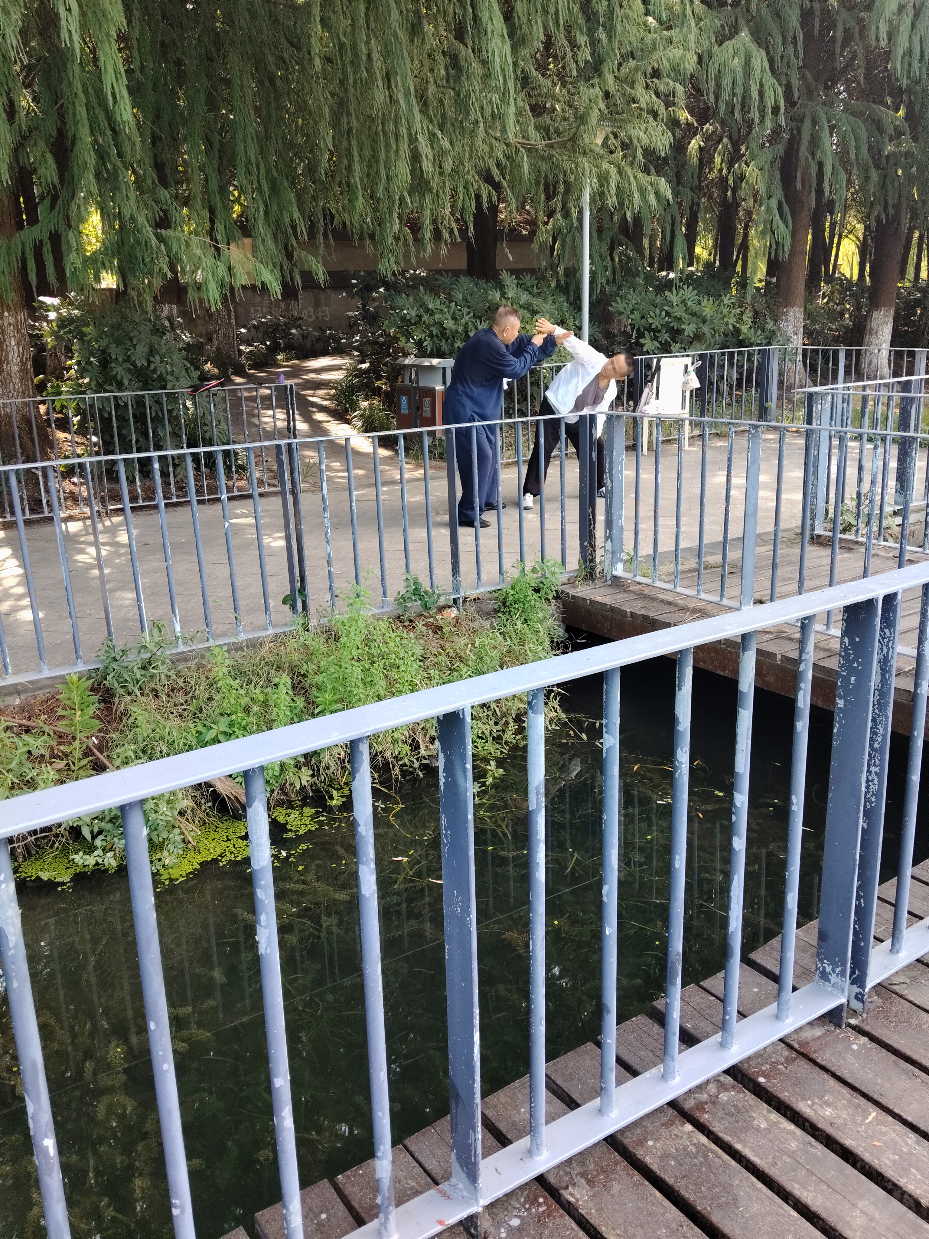 每天上午七点多,在昆山陆家镇夏桥公园都可看到一对师徒在此打太极拳