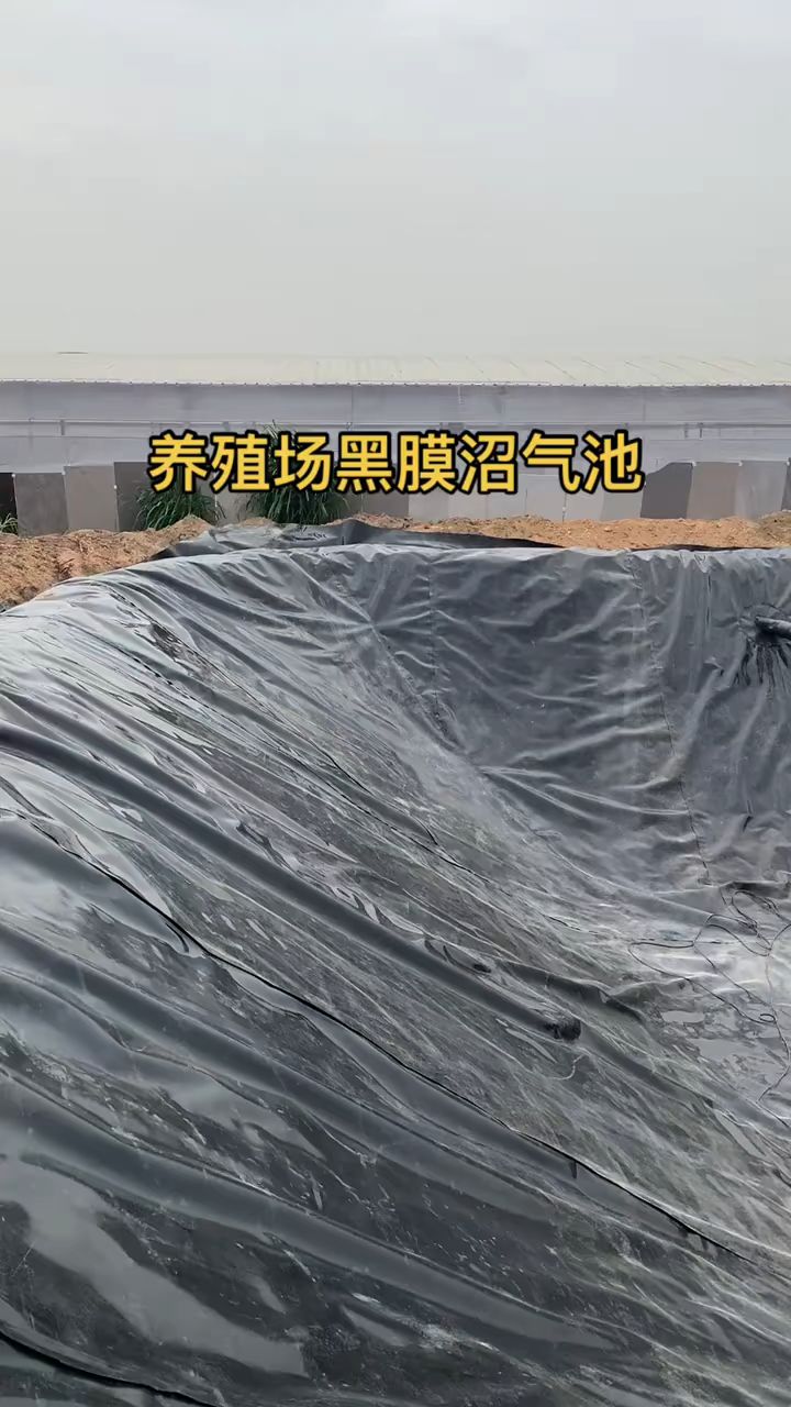 黑膜全新料,养殖场黑膜沼气池,#黑膜#沼气池 #垃圾填埋场