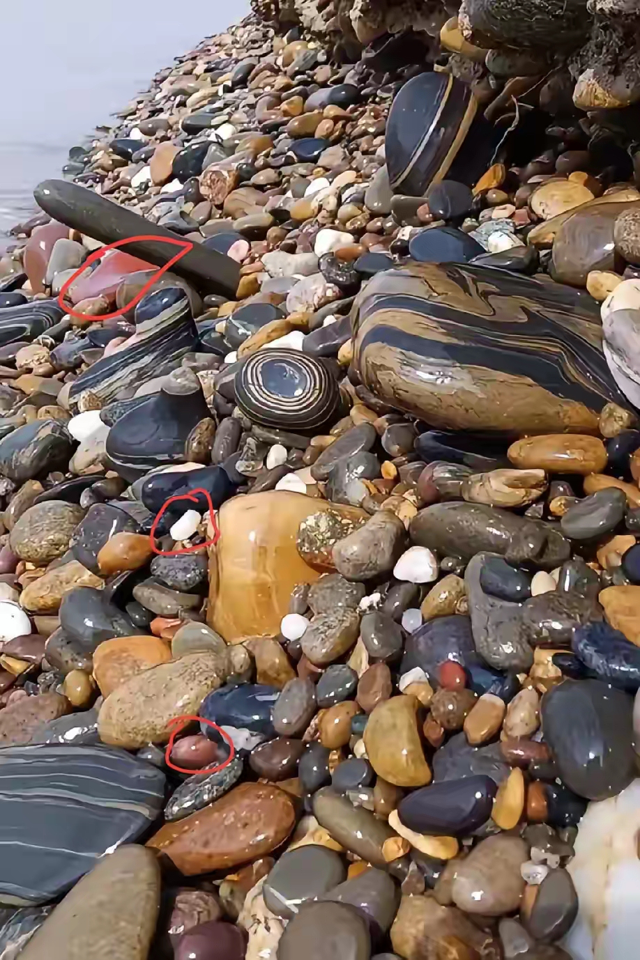 很多人去大河边捡这种鹅卵石,那种纯色像玉石或者造型图案奇特的石头