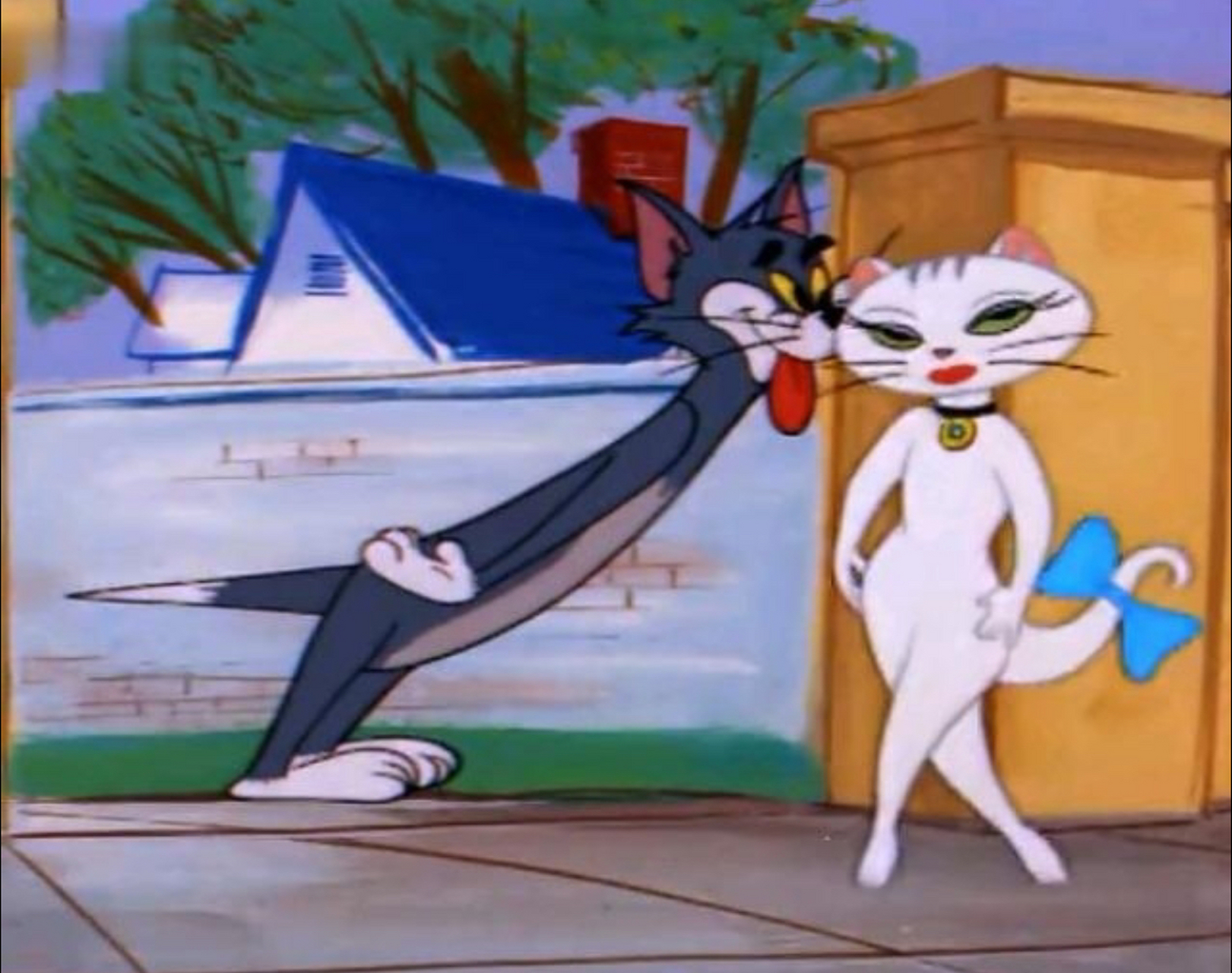 你们看伯恩山犬那个不值钱的样儿,萨摩耶:没有啦,我也没有很漂亮啦