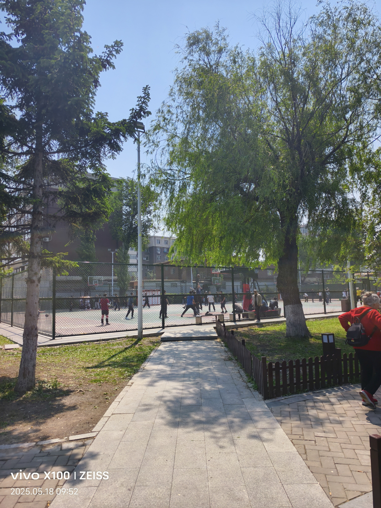 长春劳动公园美景