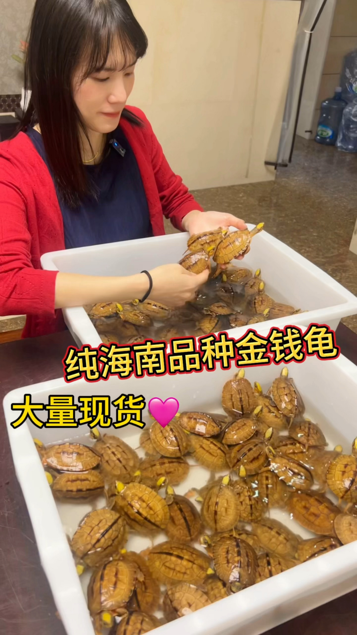 包含海南龟养殖的词条 包罗
海南龟养殖的词条（包罗海南龟养殖的词条是什么） 养殖