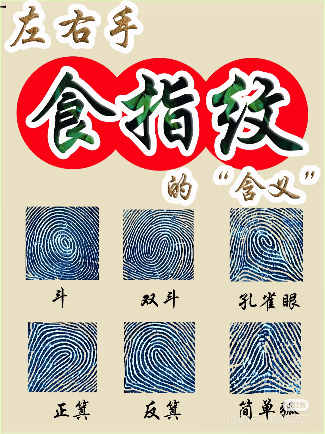 斗纹和双箕纹的区别指纹斗和簸箕的图片斗形纹和箕形纹区别双箕斗斗和