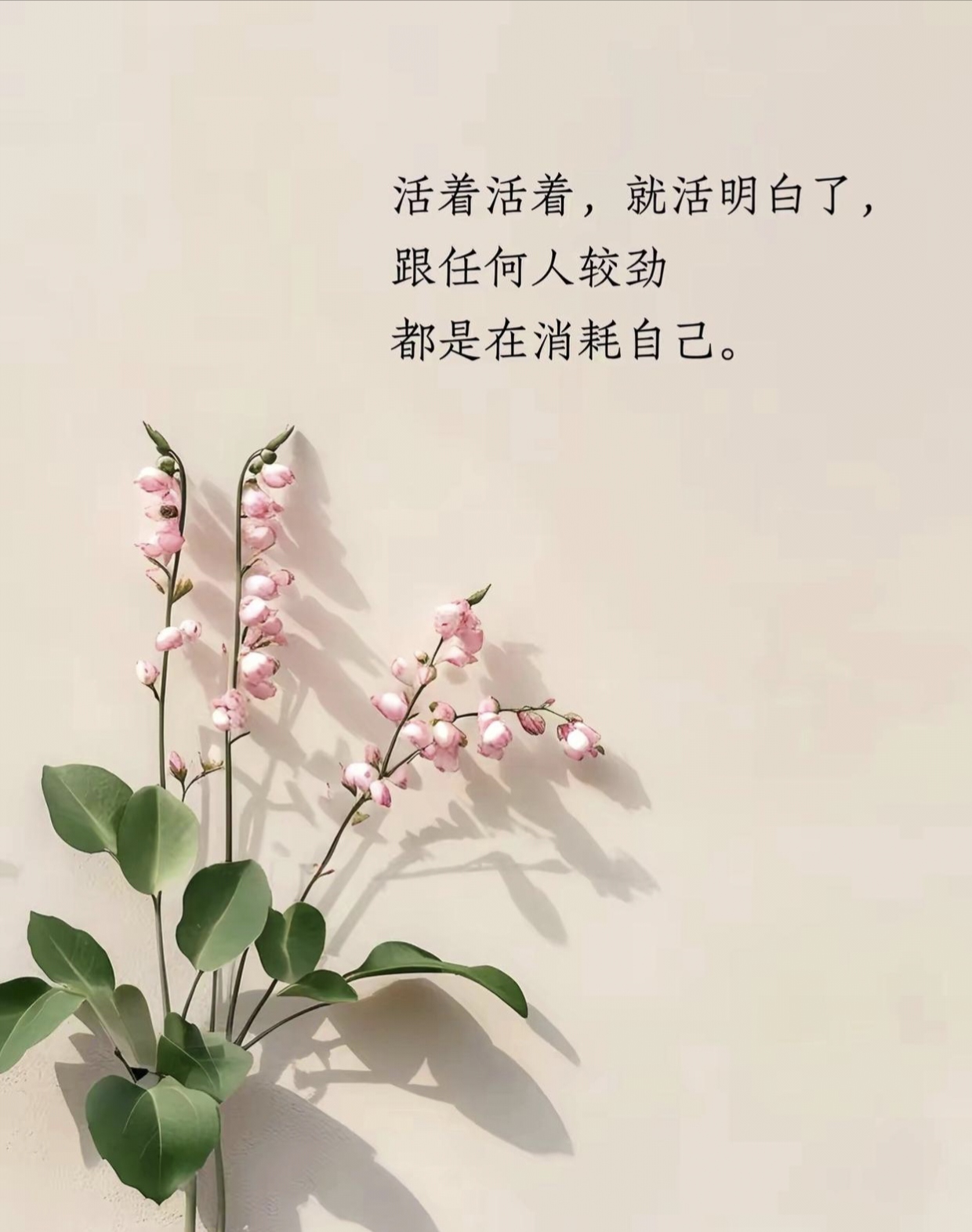 这句文案太有感觉了 -