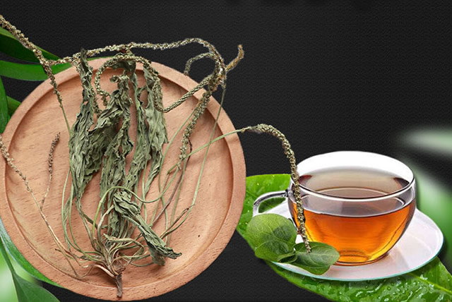 车前草泡水喝的好处