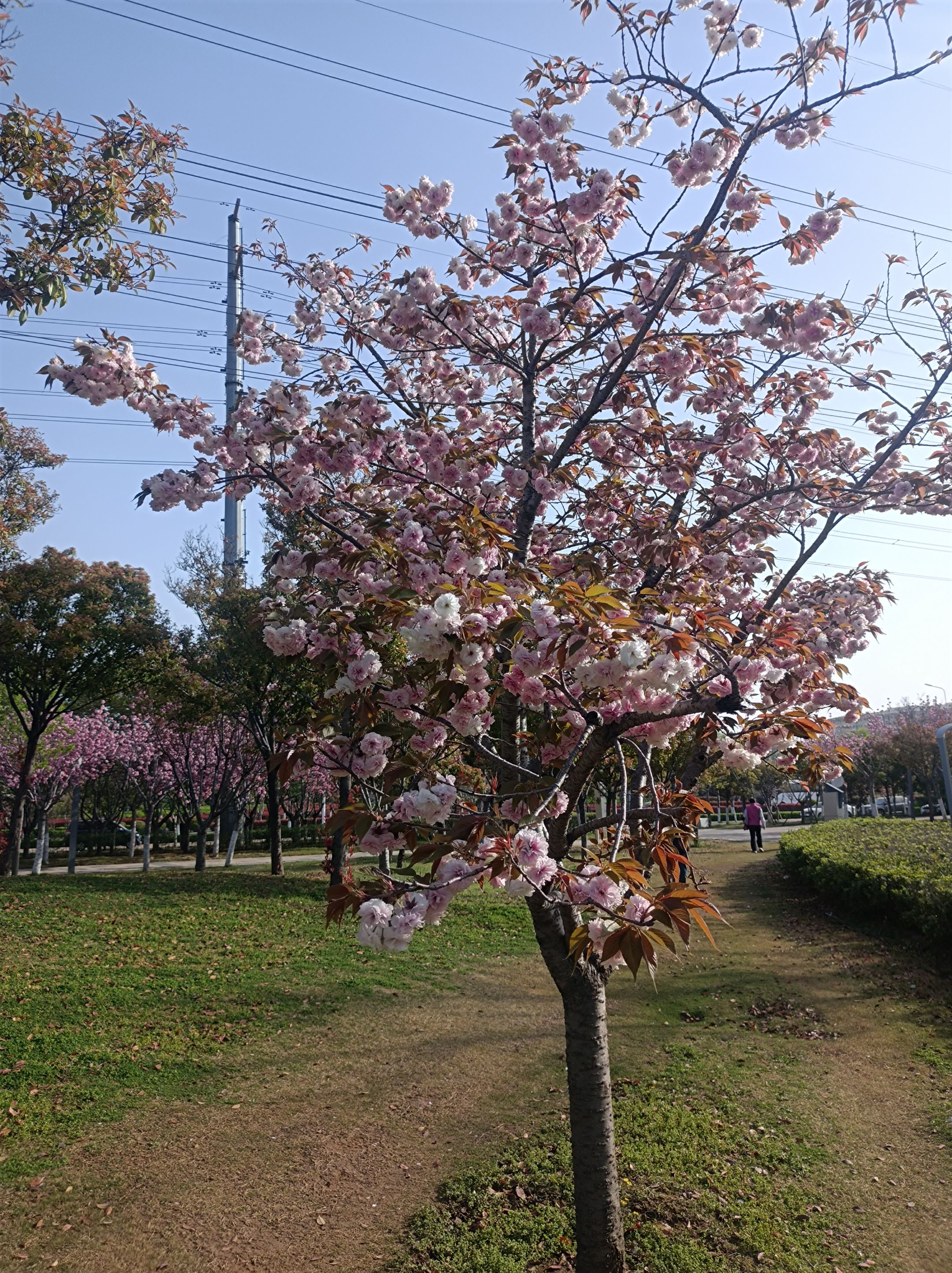 之前我有朋友在一家金融公司做销售,收入不错,但他