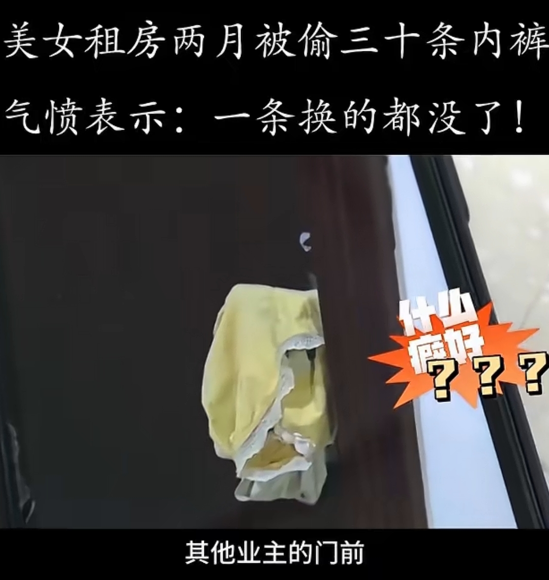 内裤乱扔图裤衩丢了扔在路边的内裤