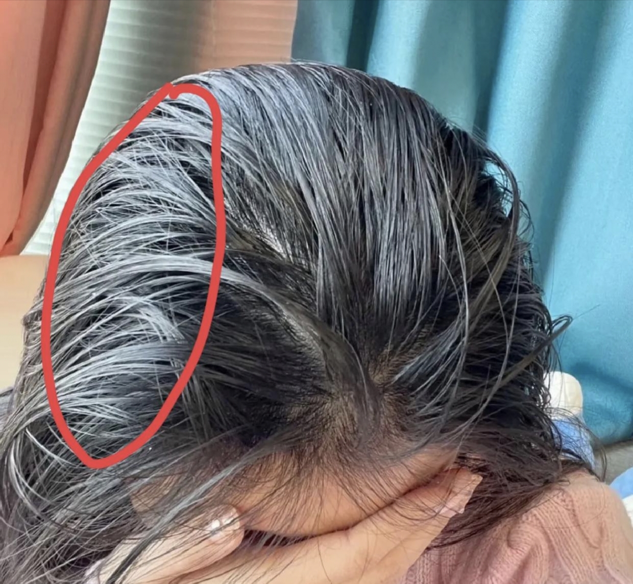 我有个女同事,天天见她头发油乎乎的