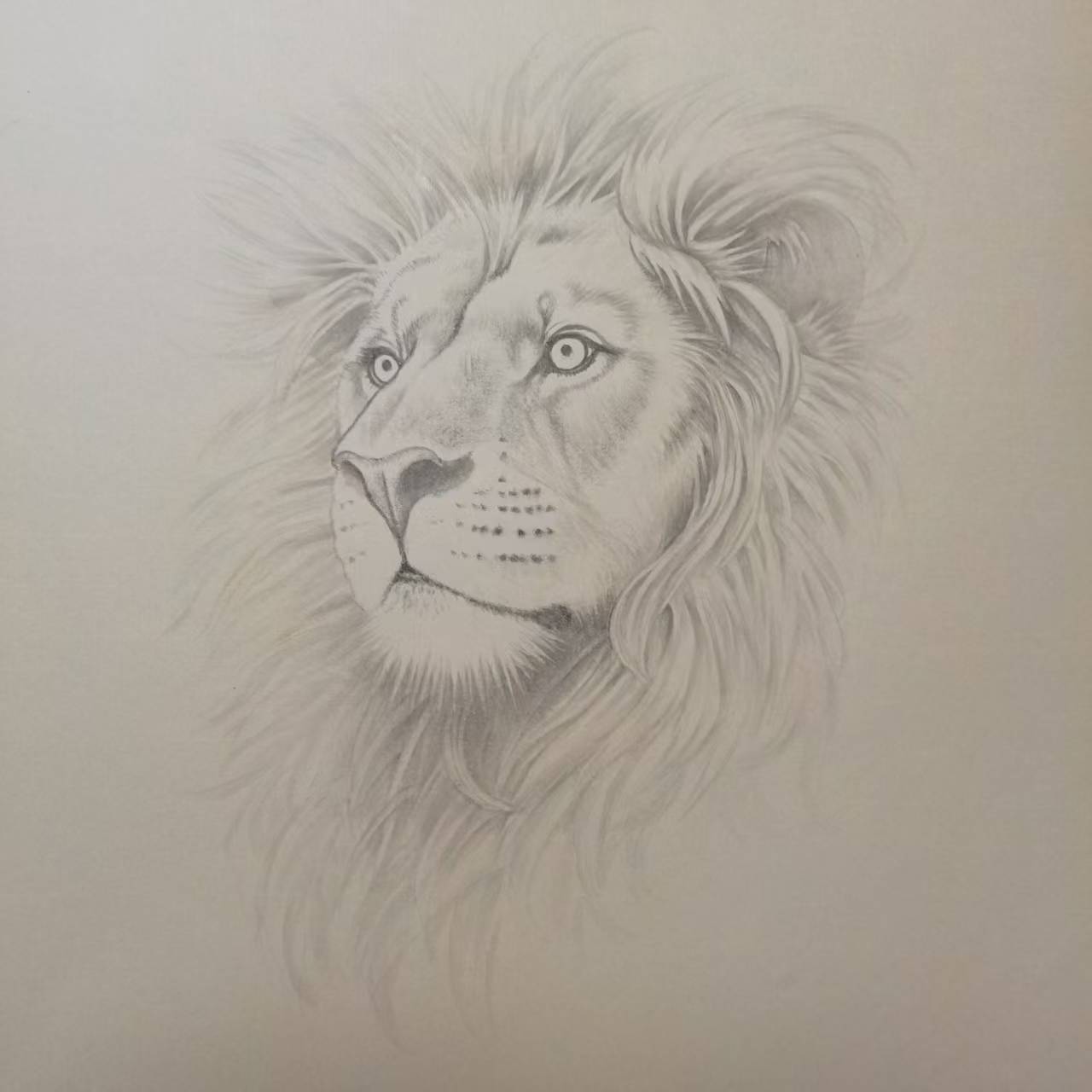 工笔画狮子头的画法
