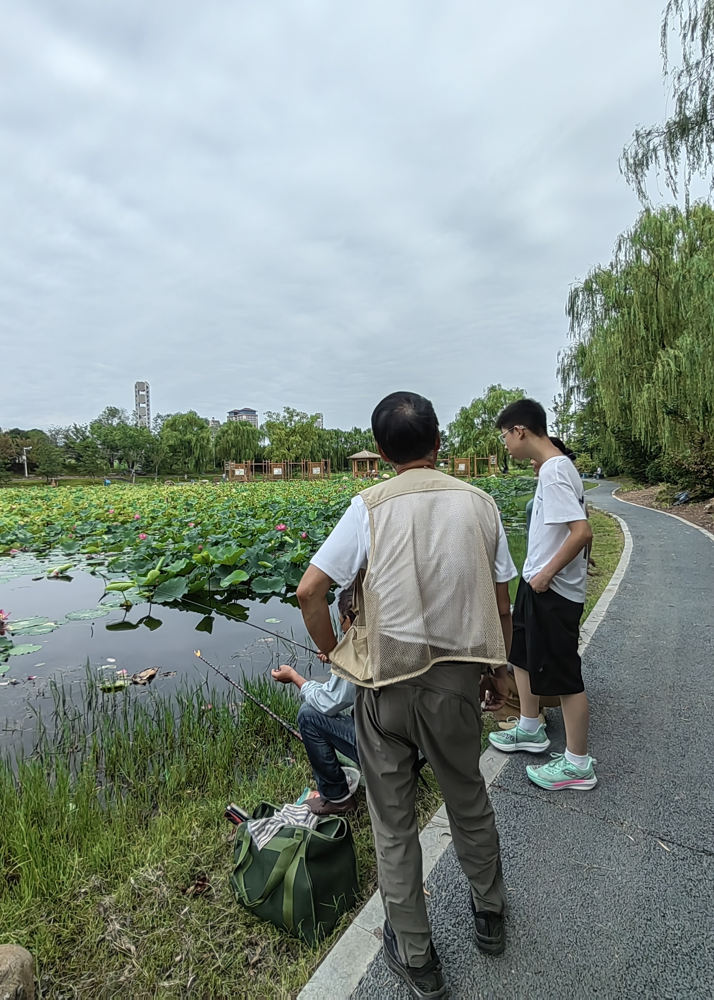 荷塘钓小鱼喂小鸭引人观赏