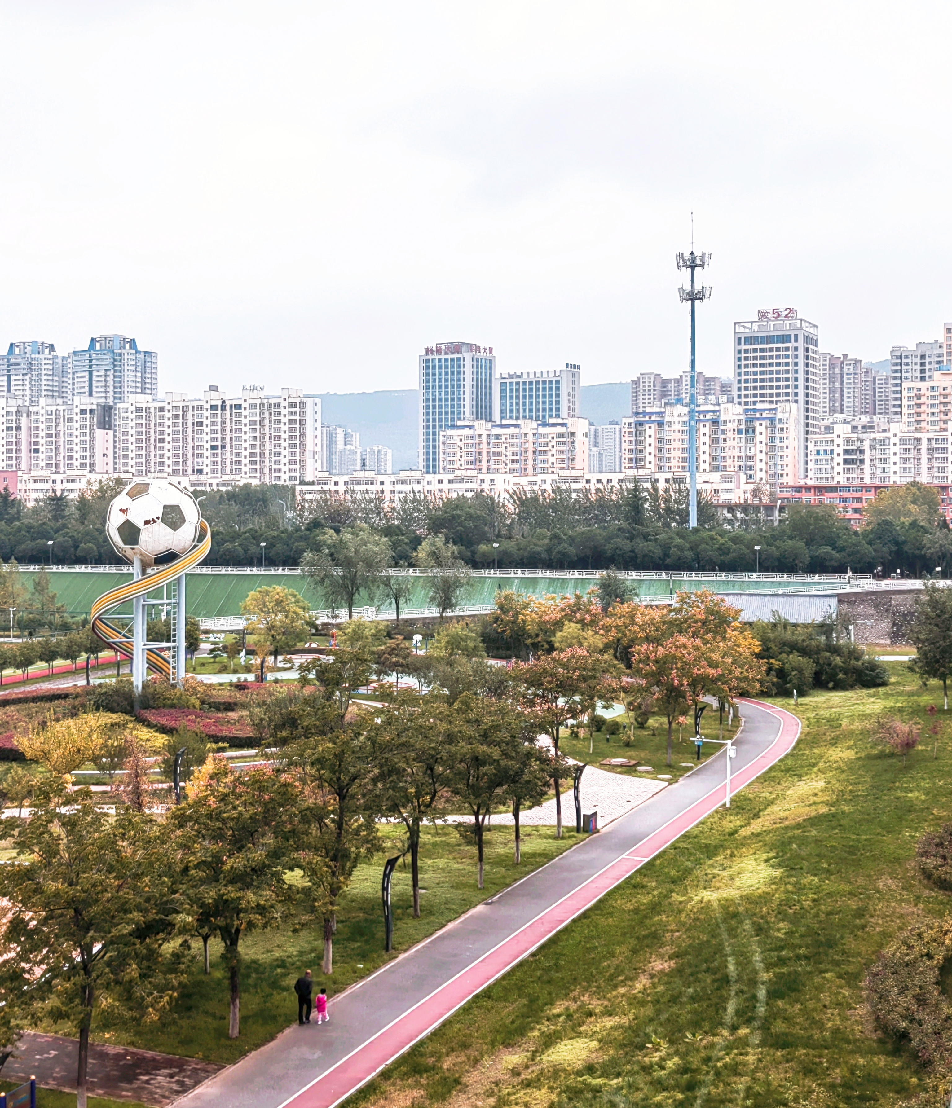 站在宝鸡渭河团结大桥上,俯视团结运动公园,秋日景色醉美如画!