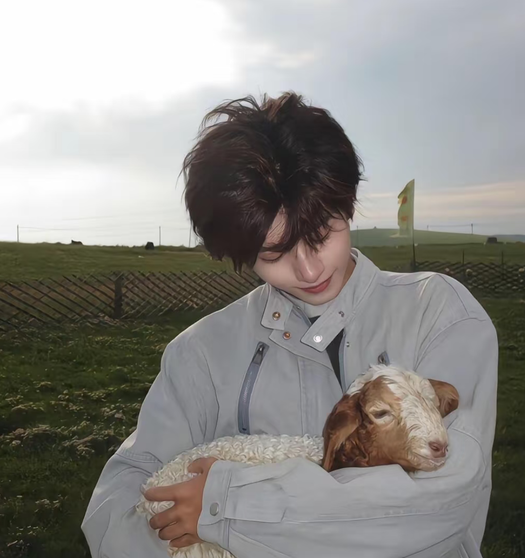 38张高质量帅气高冷温柔阳光治愈系男生头像推荐