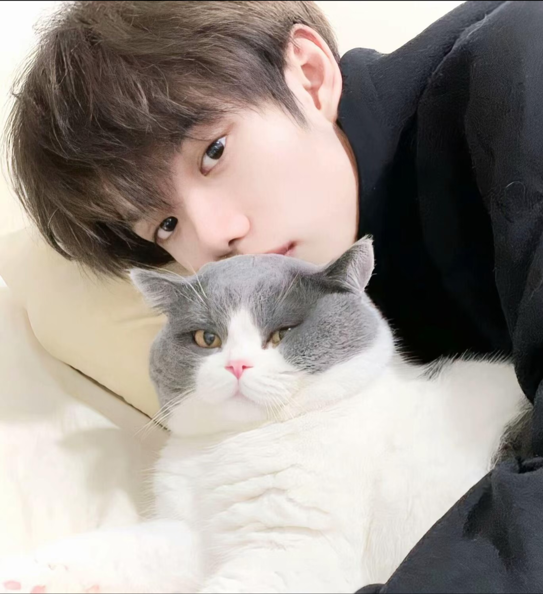 38张高质量帅气高冷温柔阳光治愈系男生头像推荐