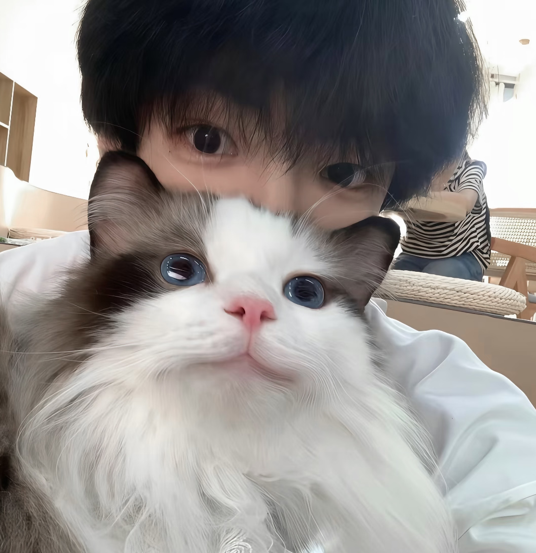 38张高质量帅气高冷温柔阳光治愈系男生头像推荐