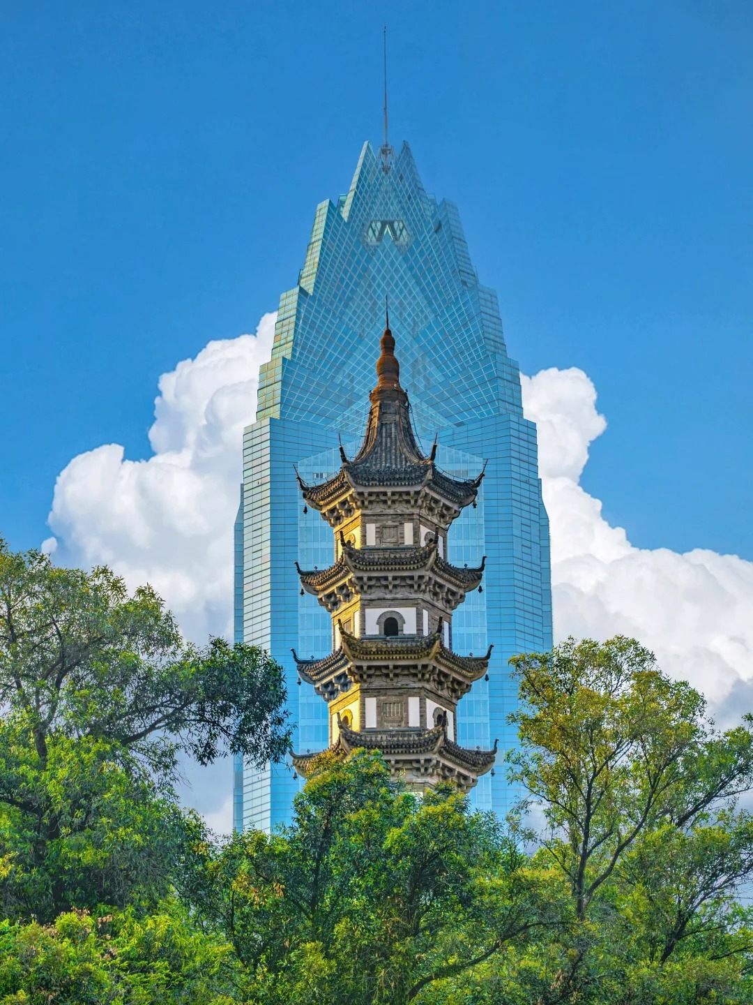 来温州 建议直接复制这条citywalk路线