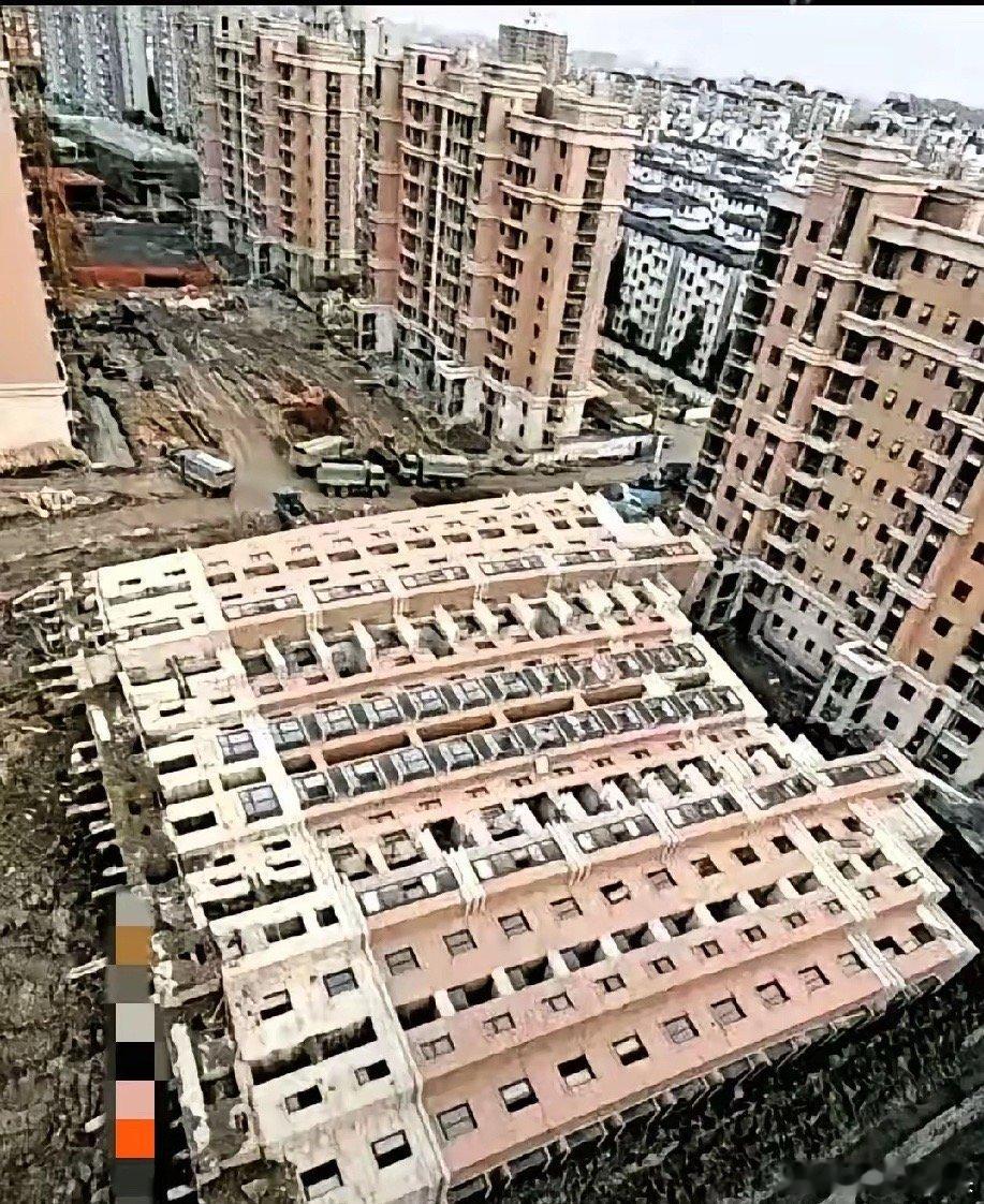 这张照片当年很火!